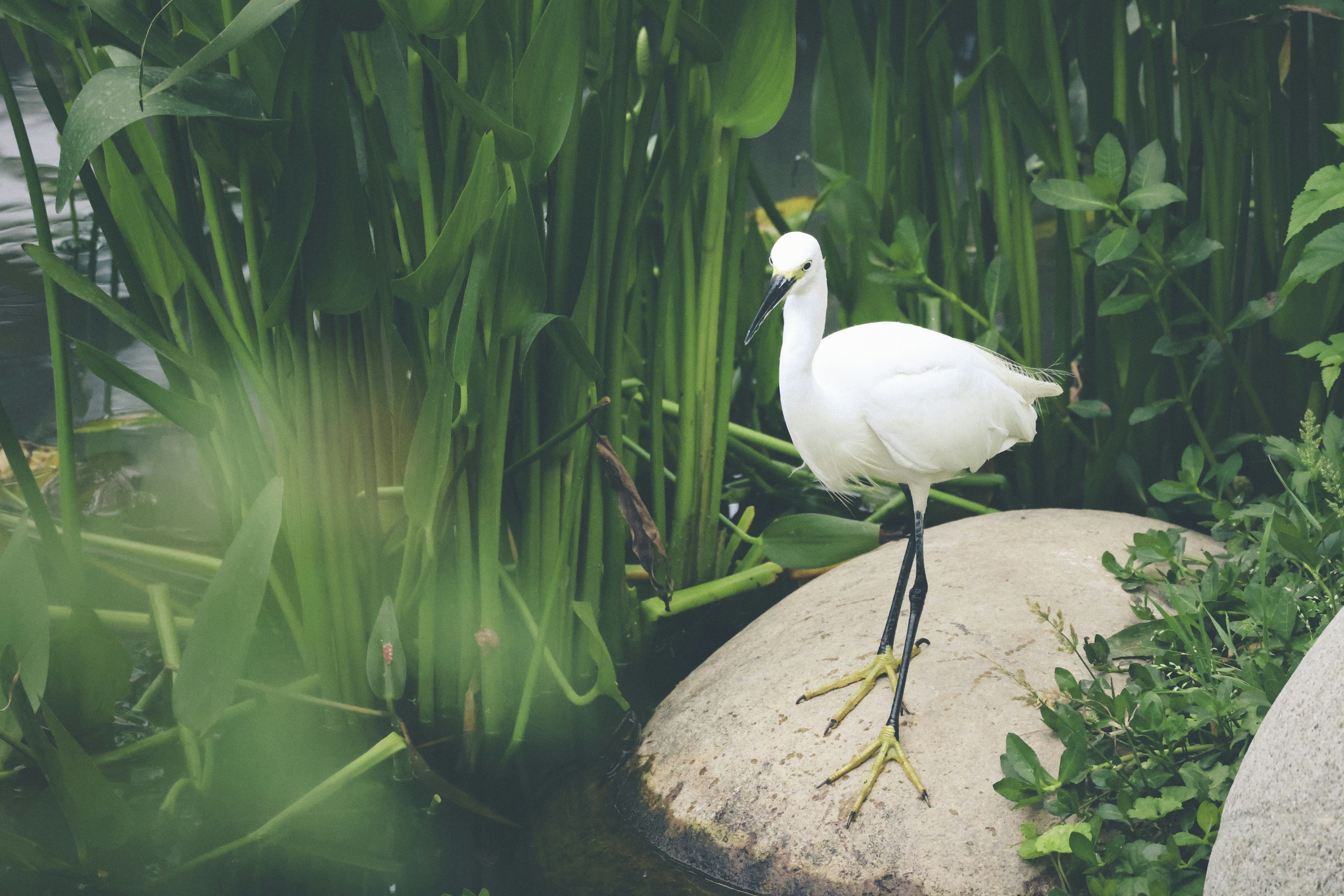 Photo by arttoinspire