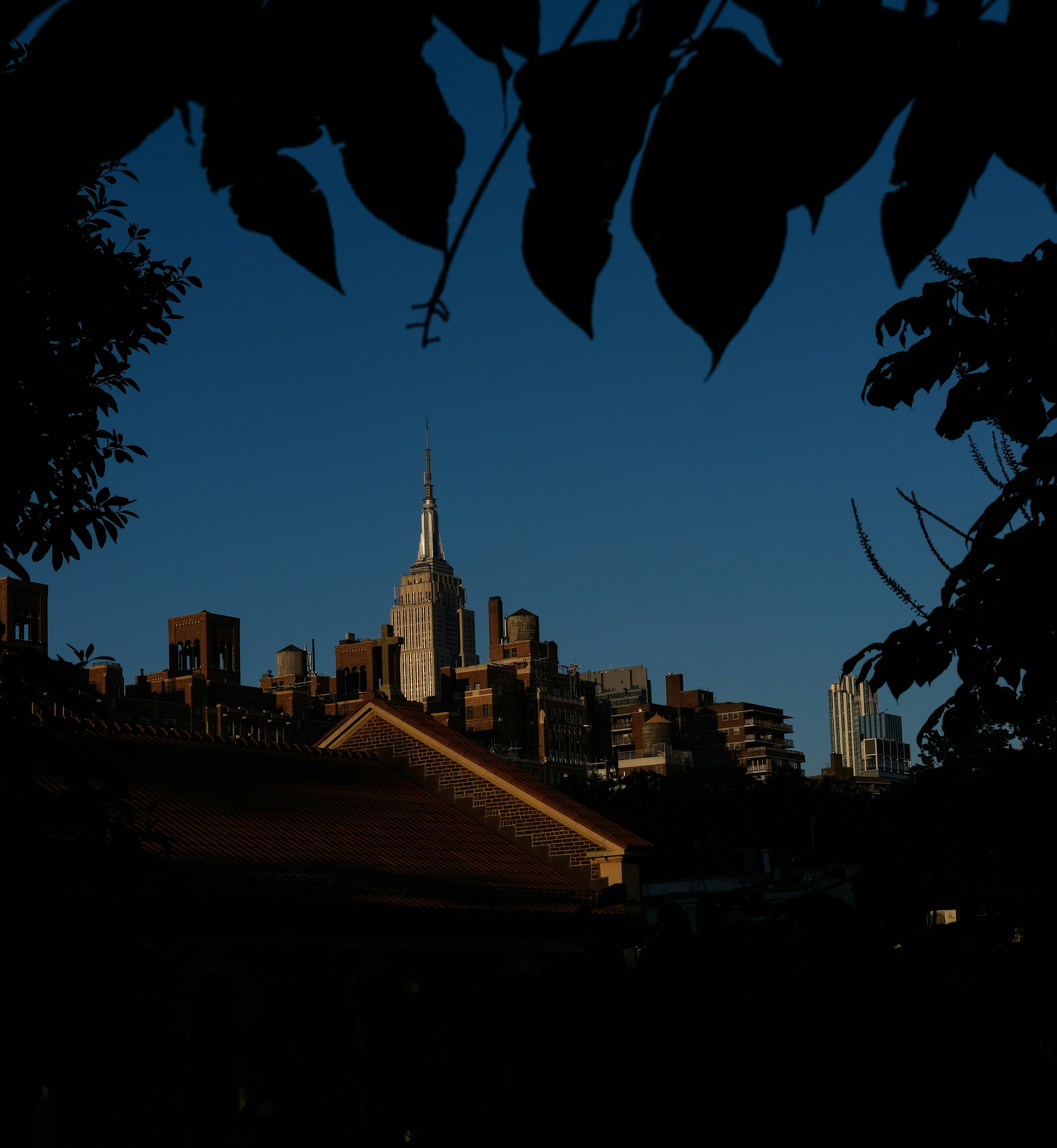 NYC. Empire State Building. The High Line.
