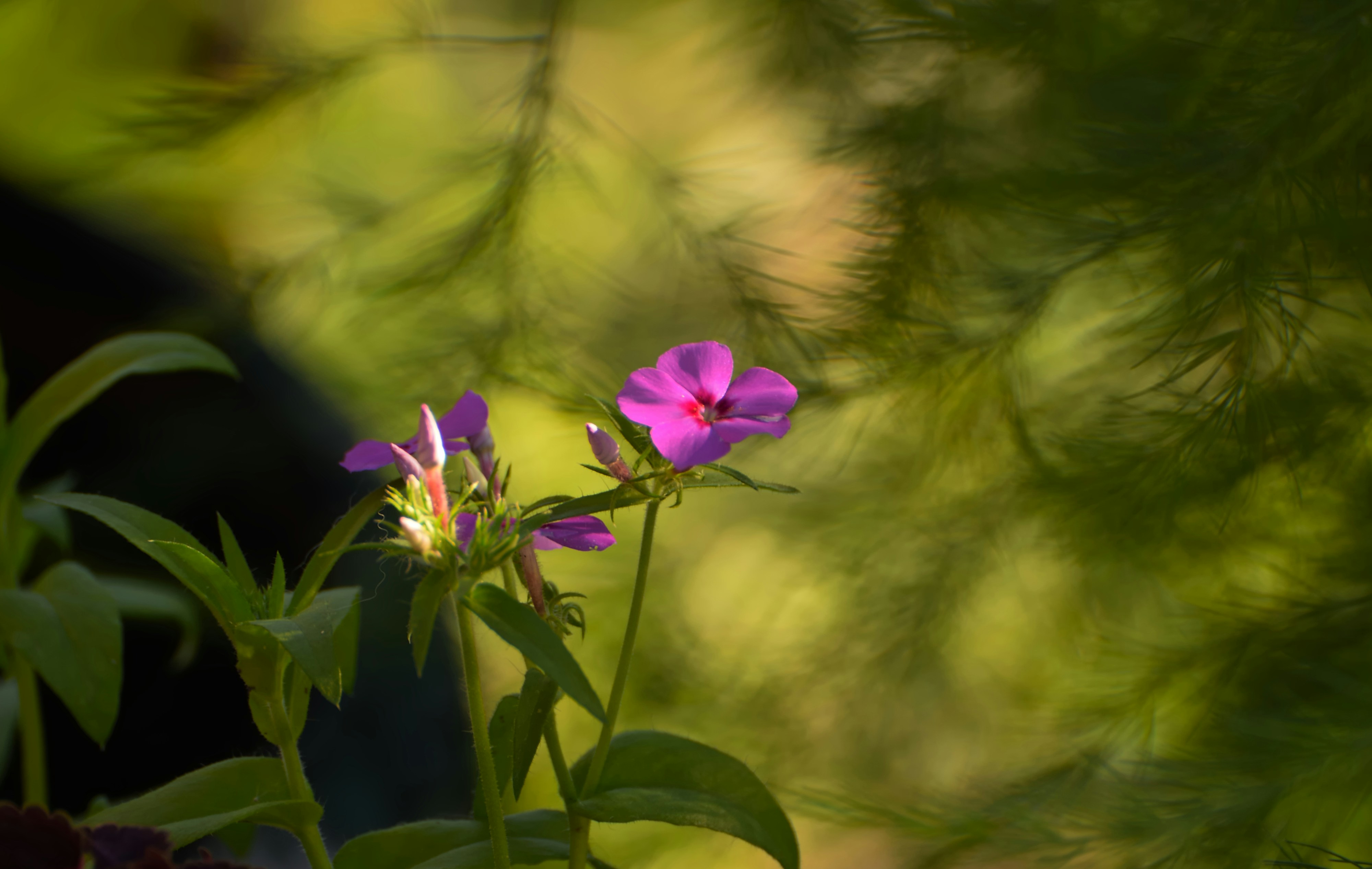 Photo by azxa661
