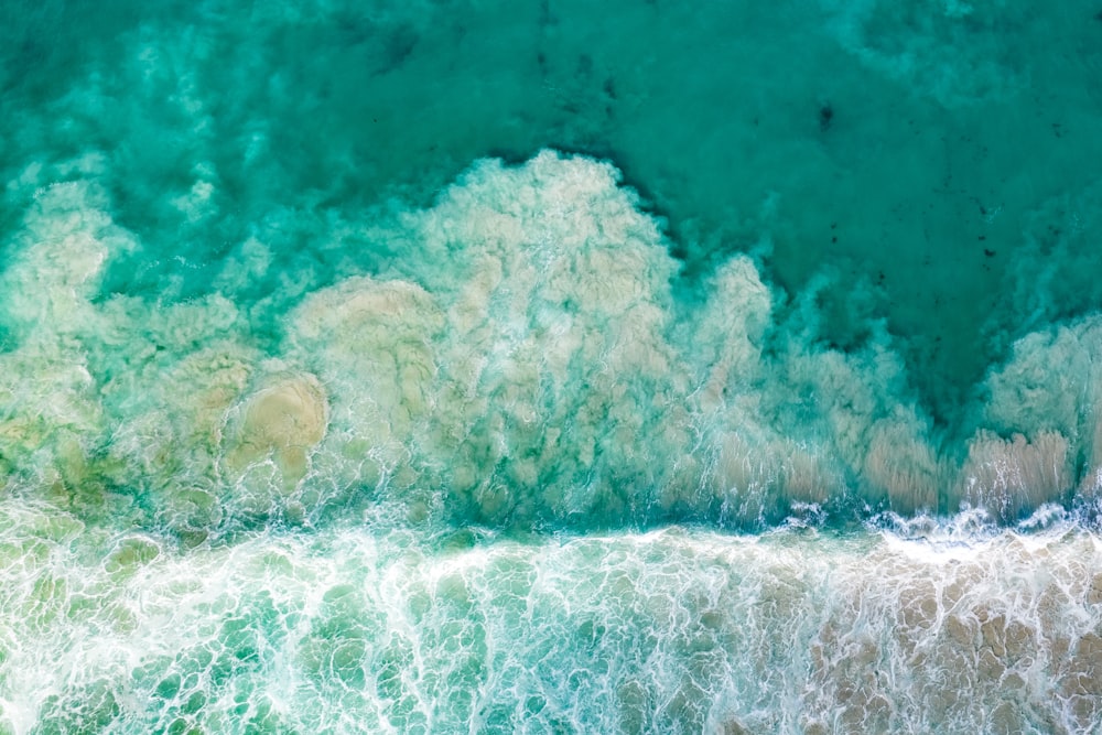 a coral reef under water