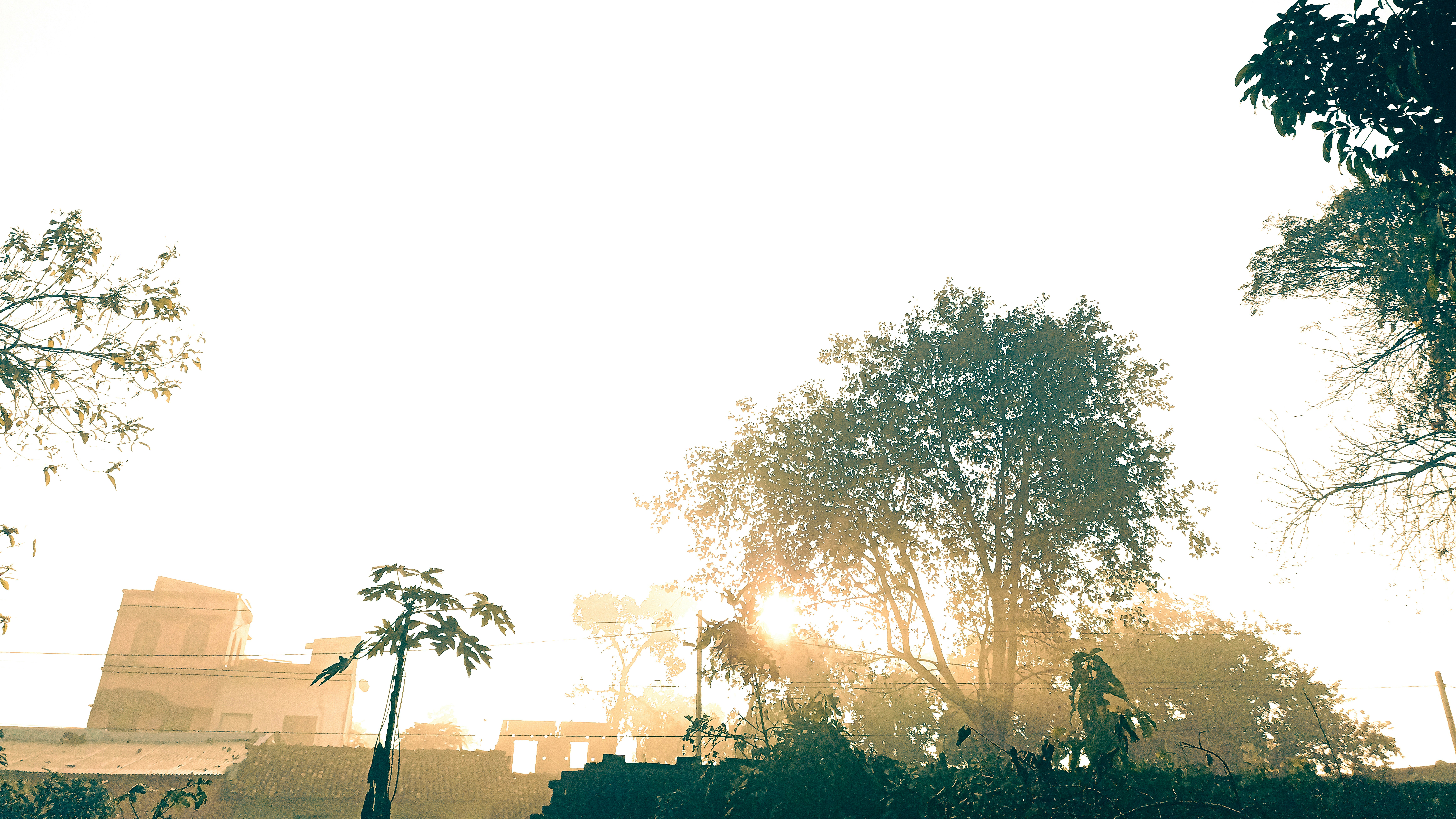 Photo by rajamitra173