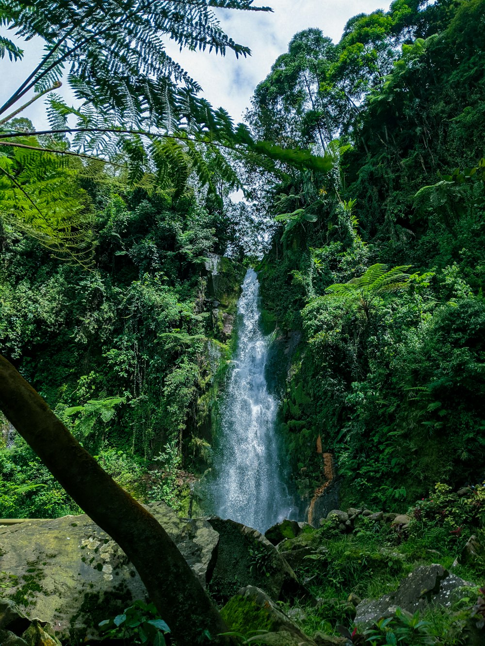 a waterfall in a forest