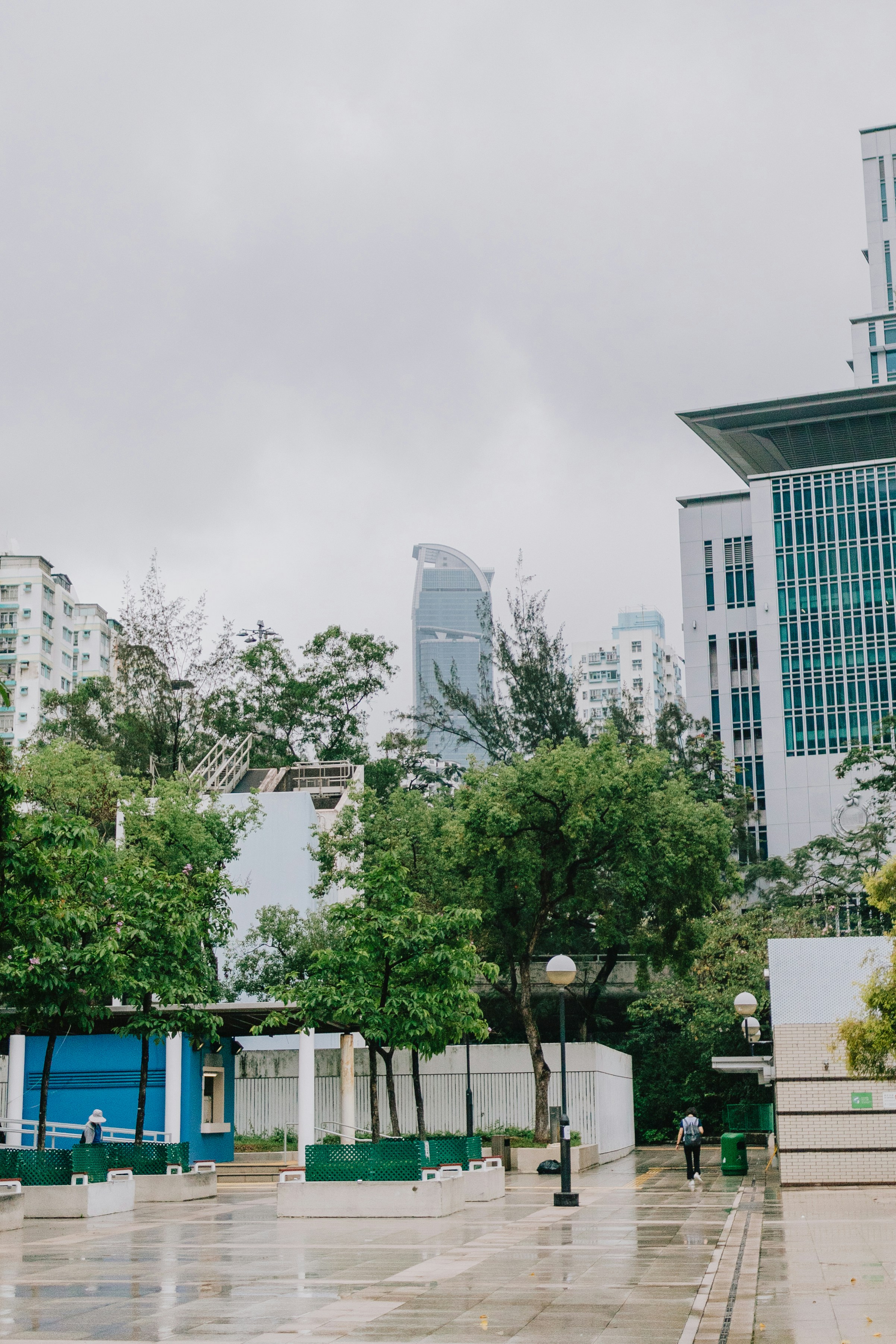 a city with trees and buildings