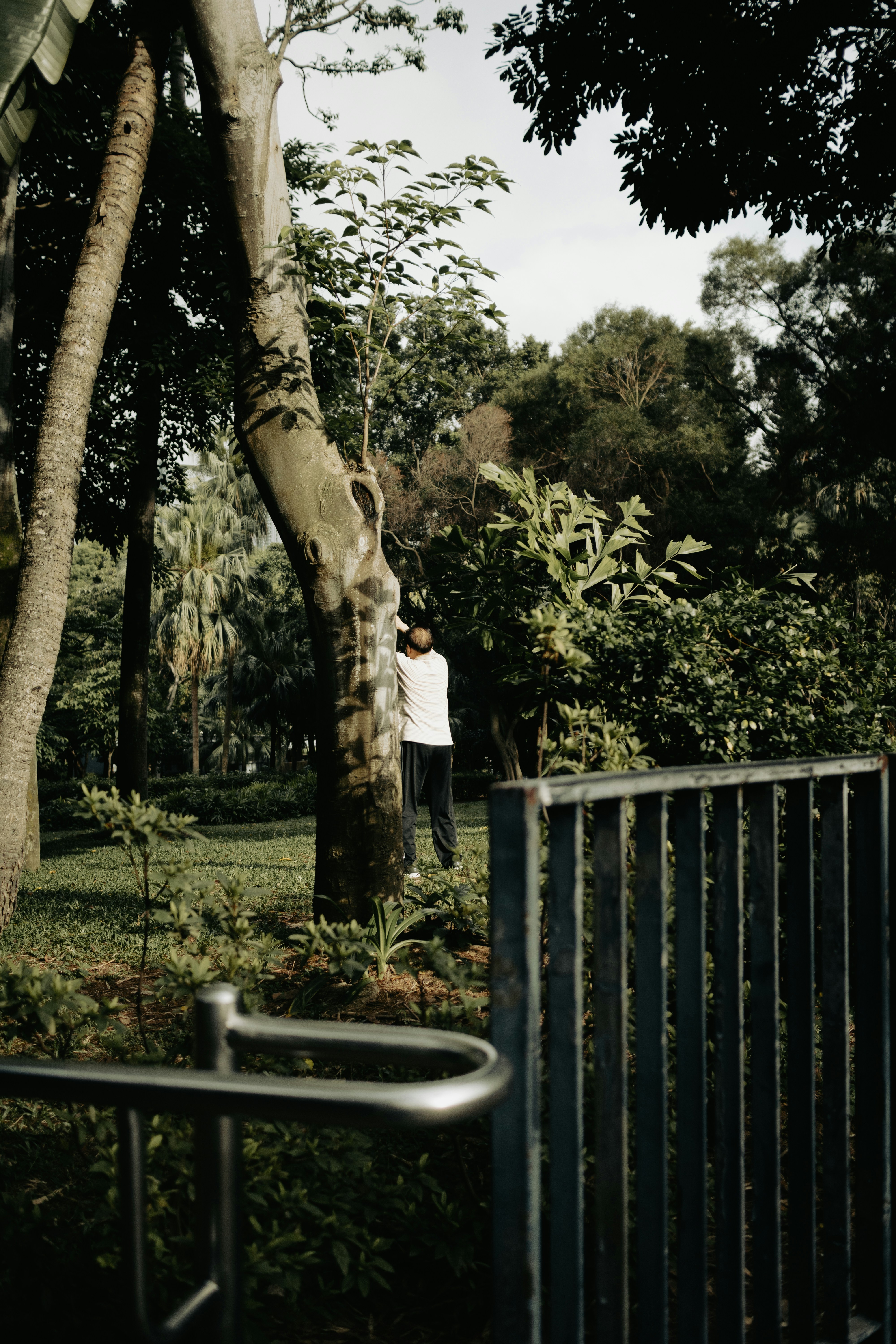 Photo by yurifu