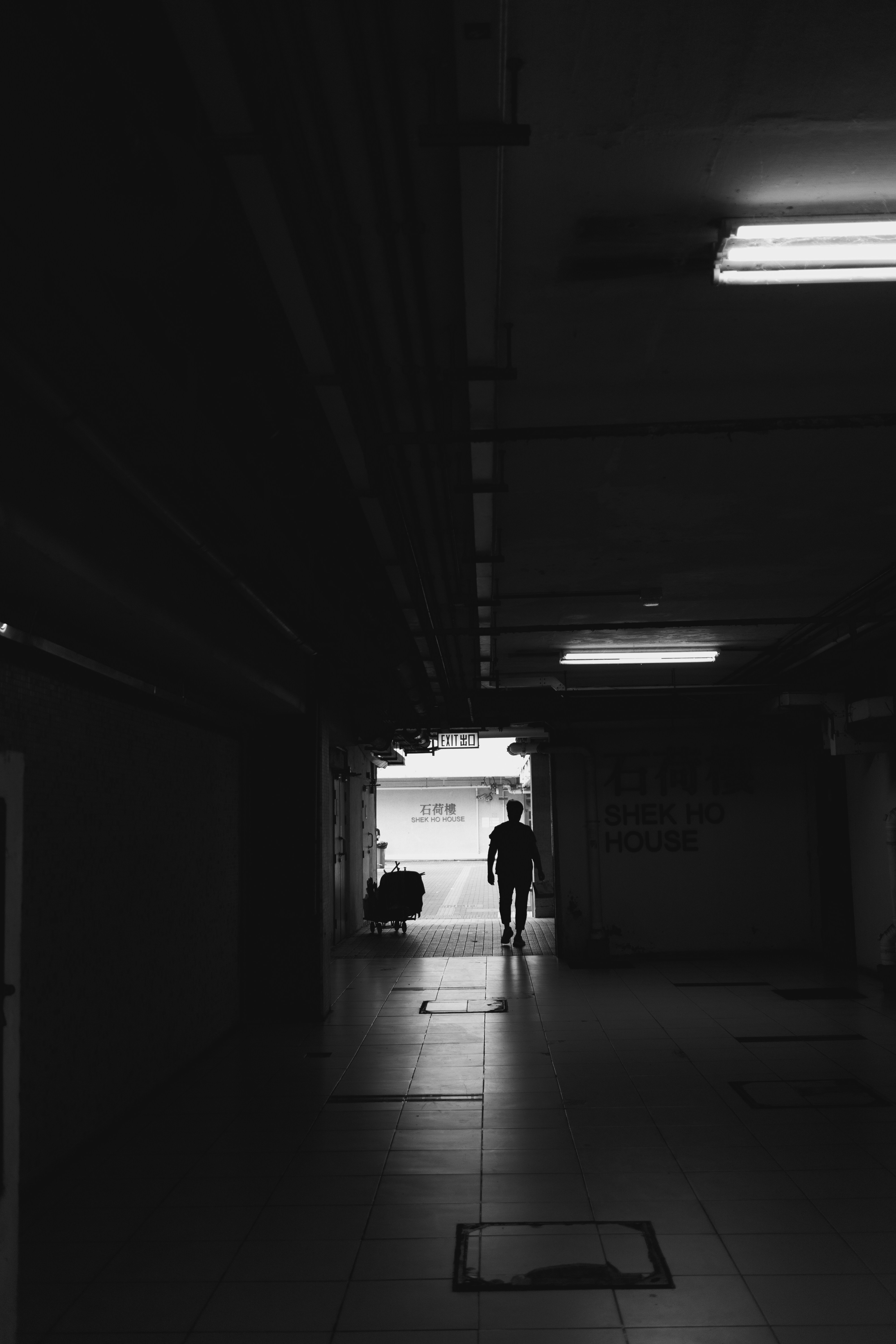 photo-1656905825035-500b06ae3232?ixid=M3wxMjA3fDB8MXxzZWFyY2h8MTh8fG05OCUyMGJldHxlbnwwfHx8fDE3NTg3NzUxNjd8MA\u0026ixlib=rb-4.1.0