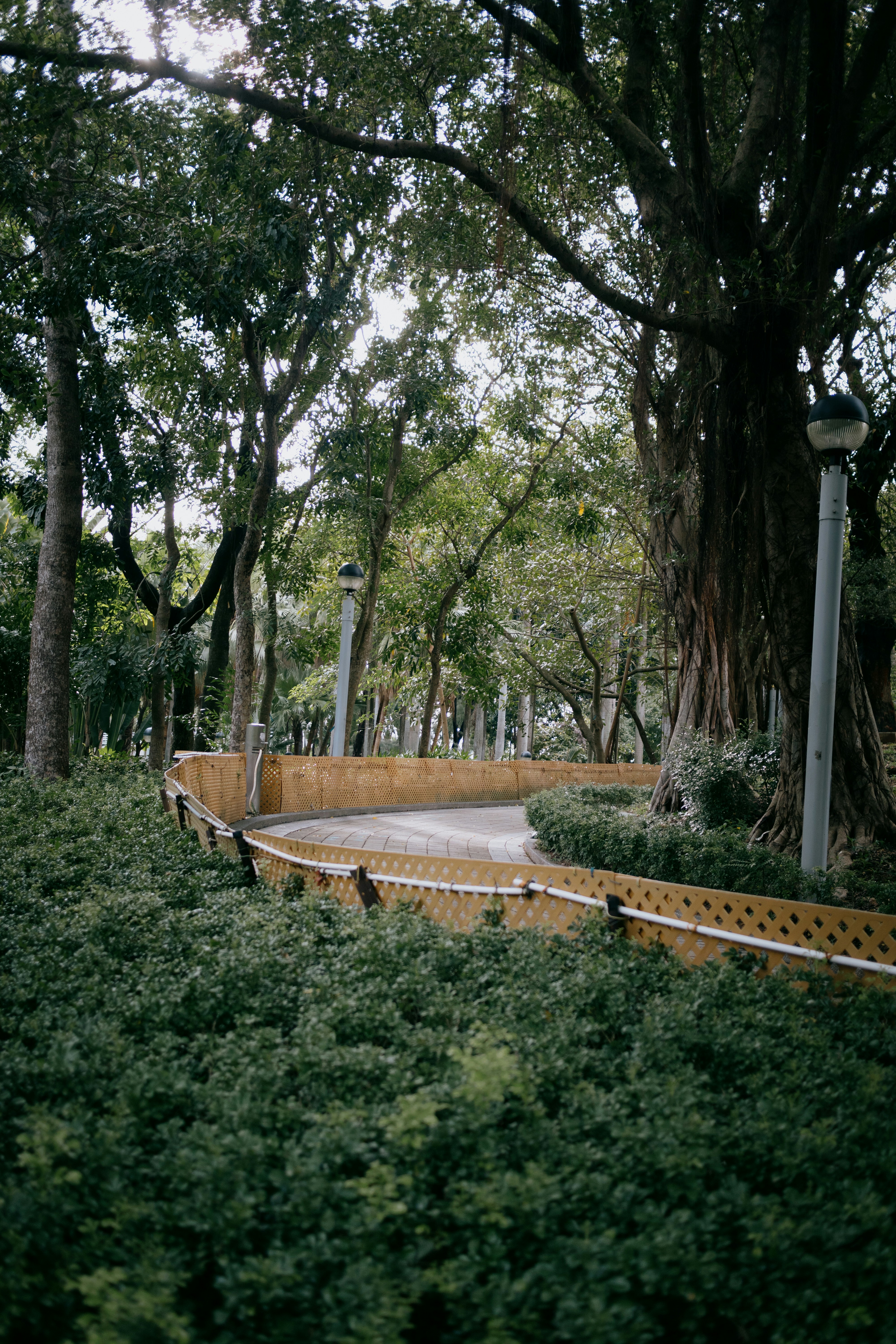 a path through a park