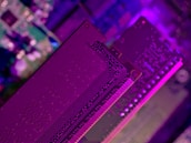 Close-up of a server motherboard with glowing indicators.