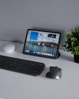 A neatly organized office desk setup featuring a tablet on a stand displaying various apps and a scenic wallpaper, a black keyboard, a sleek mouse, a small smart speaker, and a potted green plant.