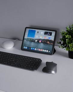 A neatly organized office desk setup featuring a tablet on a stand displaying various apps and a scenic wallpaper, a black keyboard, a sleek mouse, a small smart speaker, and a potted green plant.