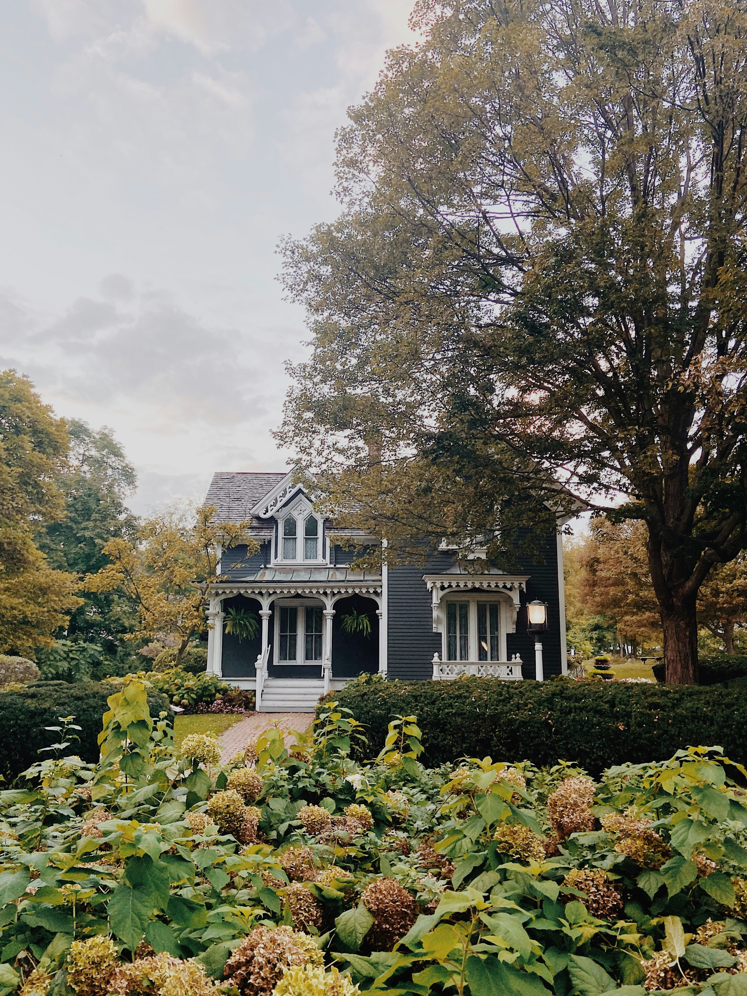 Photo by rachelalexander