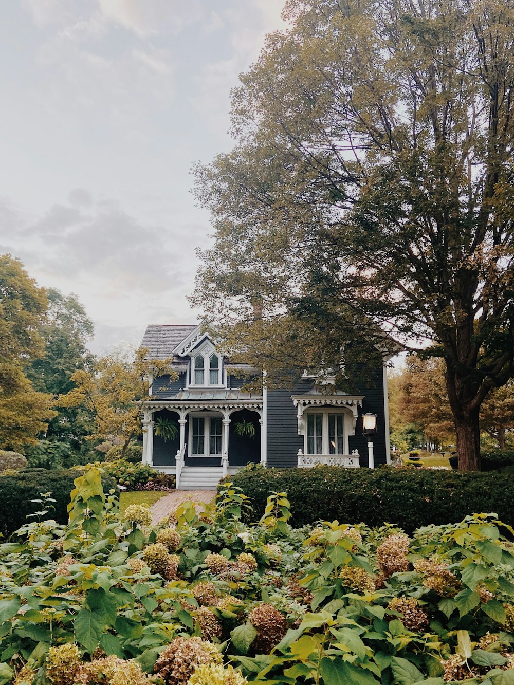 a house surrounded by trees