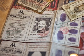 An array of identification documents is spread out. The prominent item in the center is an identity card from a fictional organization named 'Ministry of Magic', featuring a photograph of a smiling person and various personal details. Other documents include fingerprints, currency notes, and tickets. The documents have a vintage and magical theme.
