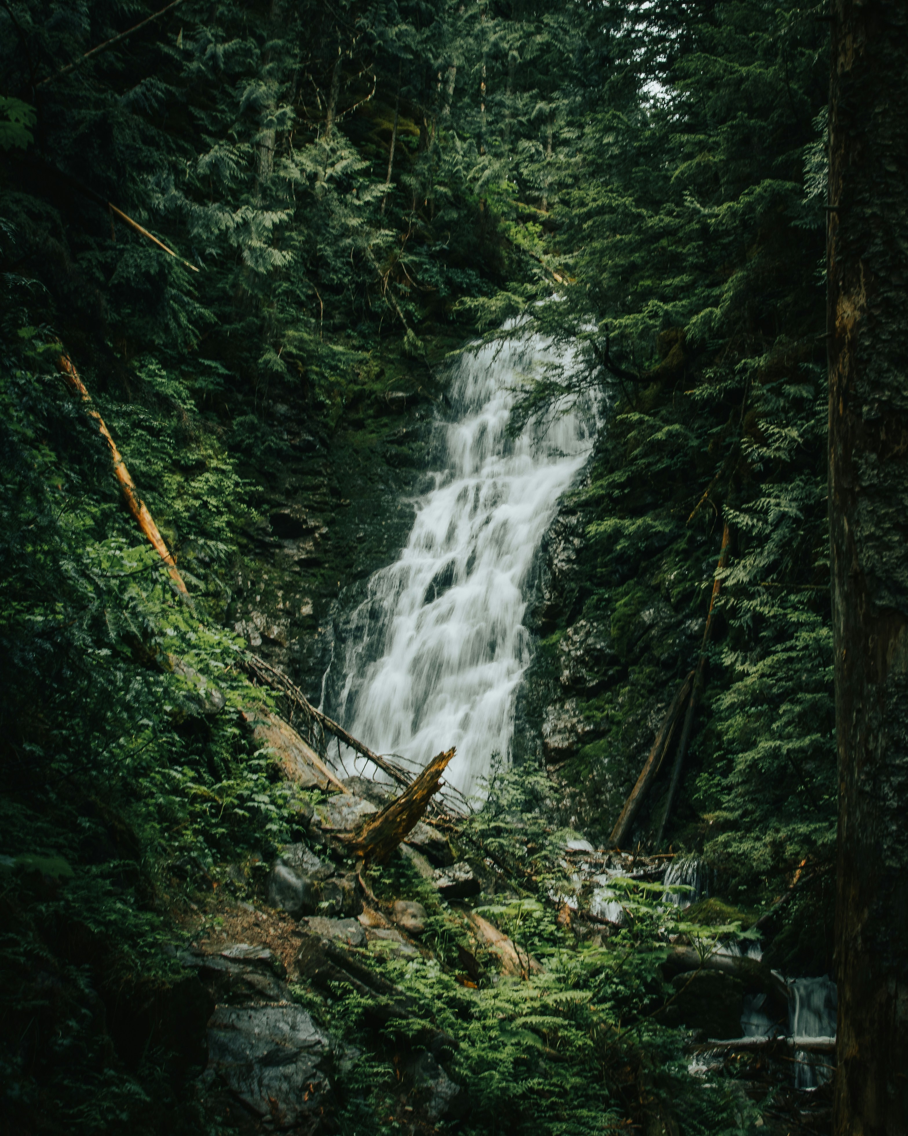 Photo by harsh_singh_c