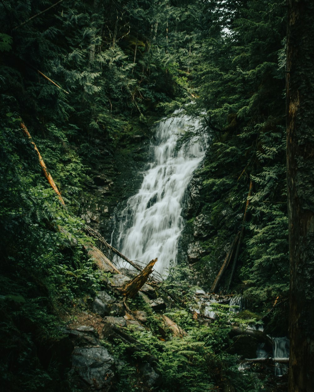 a waterfall in a forest