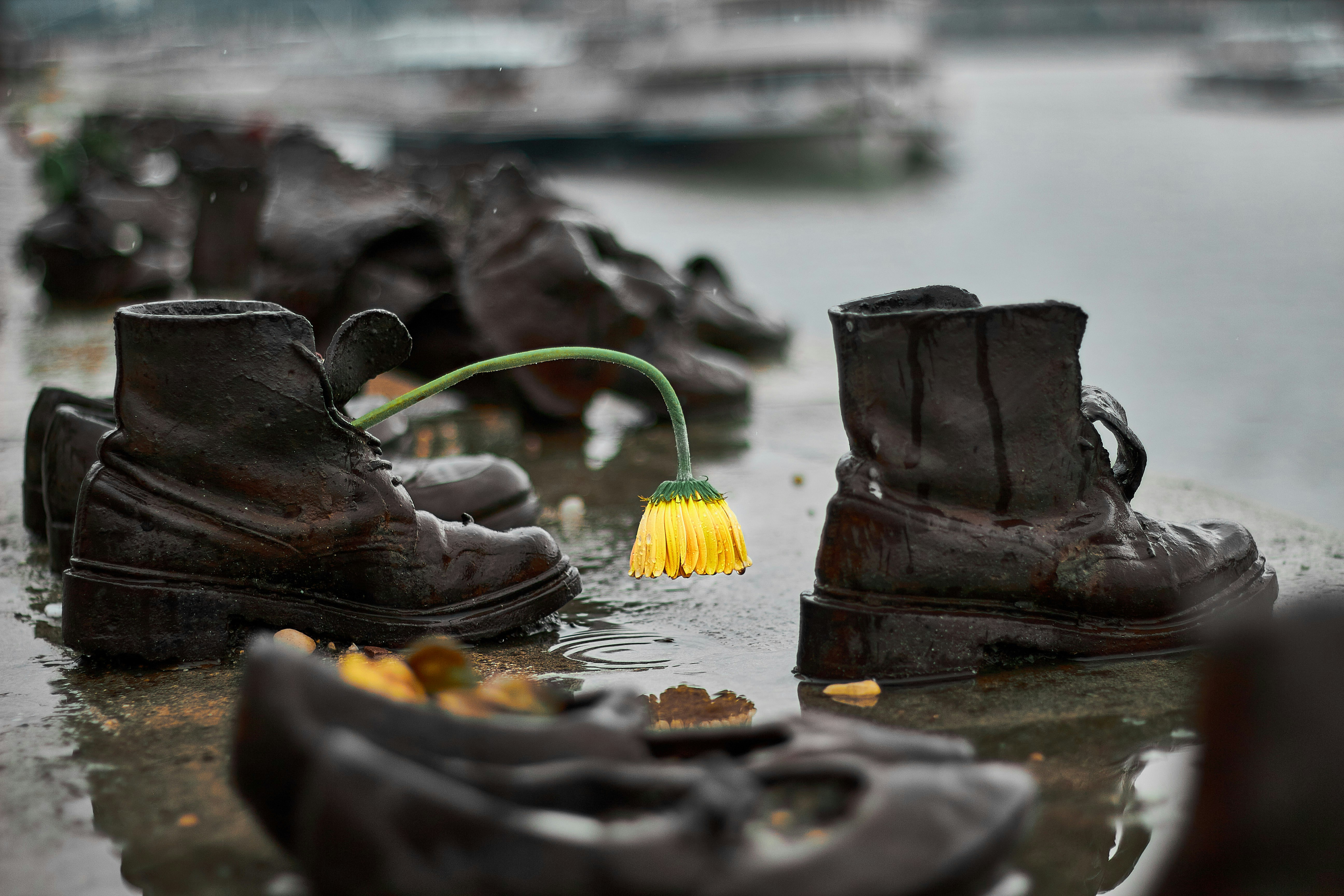 a group of boots on a table