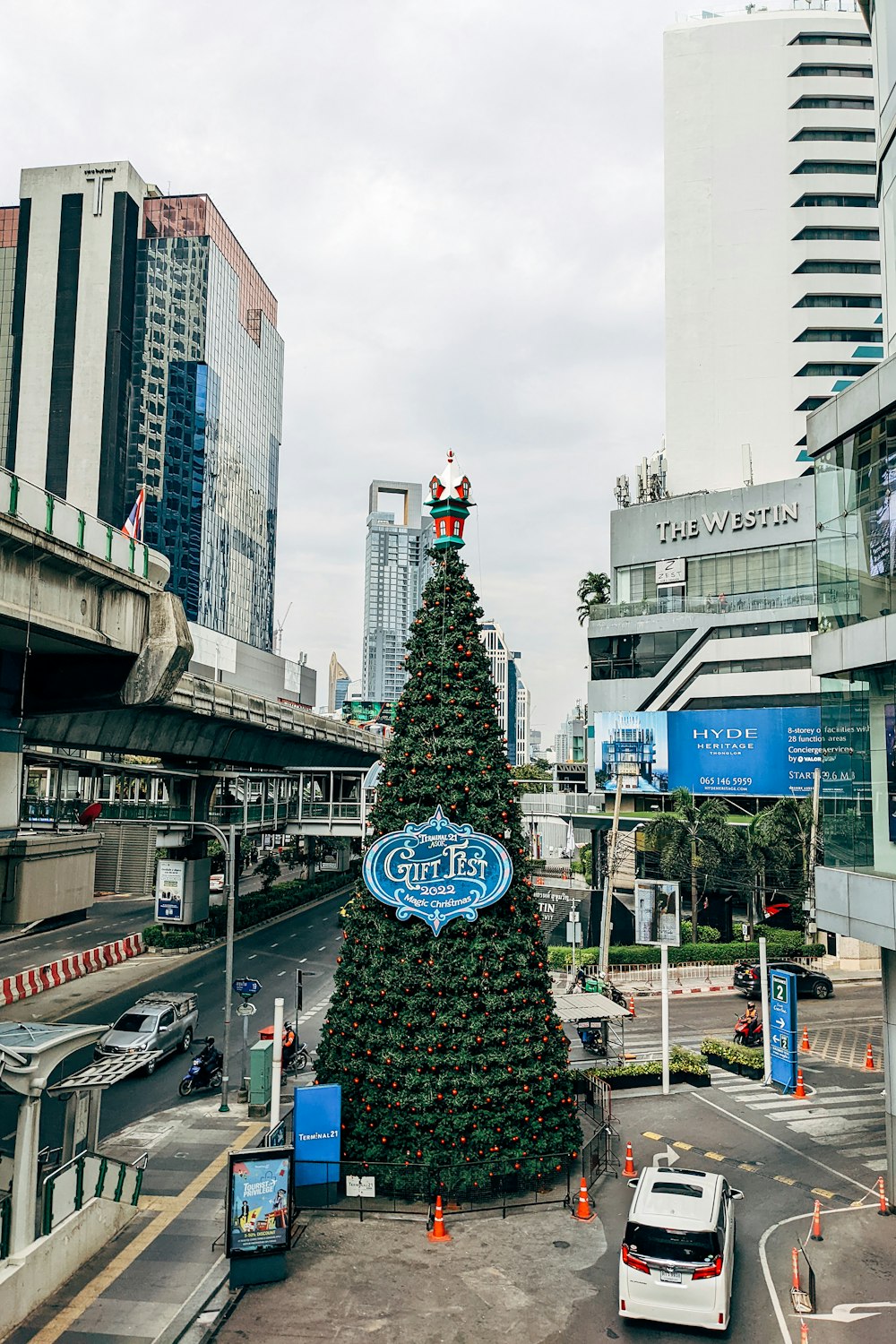a christmas tree in a city
