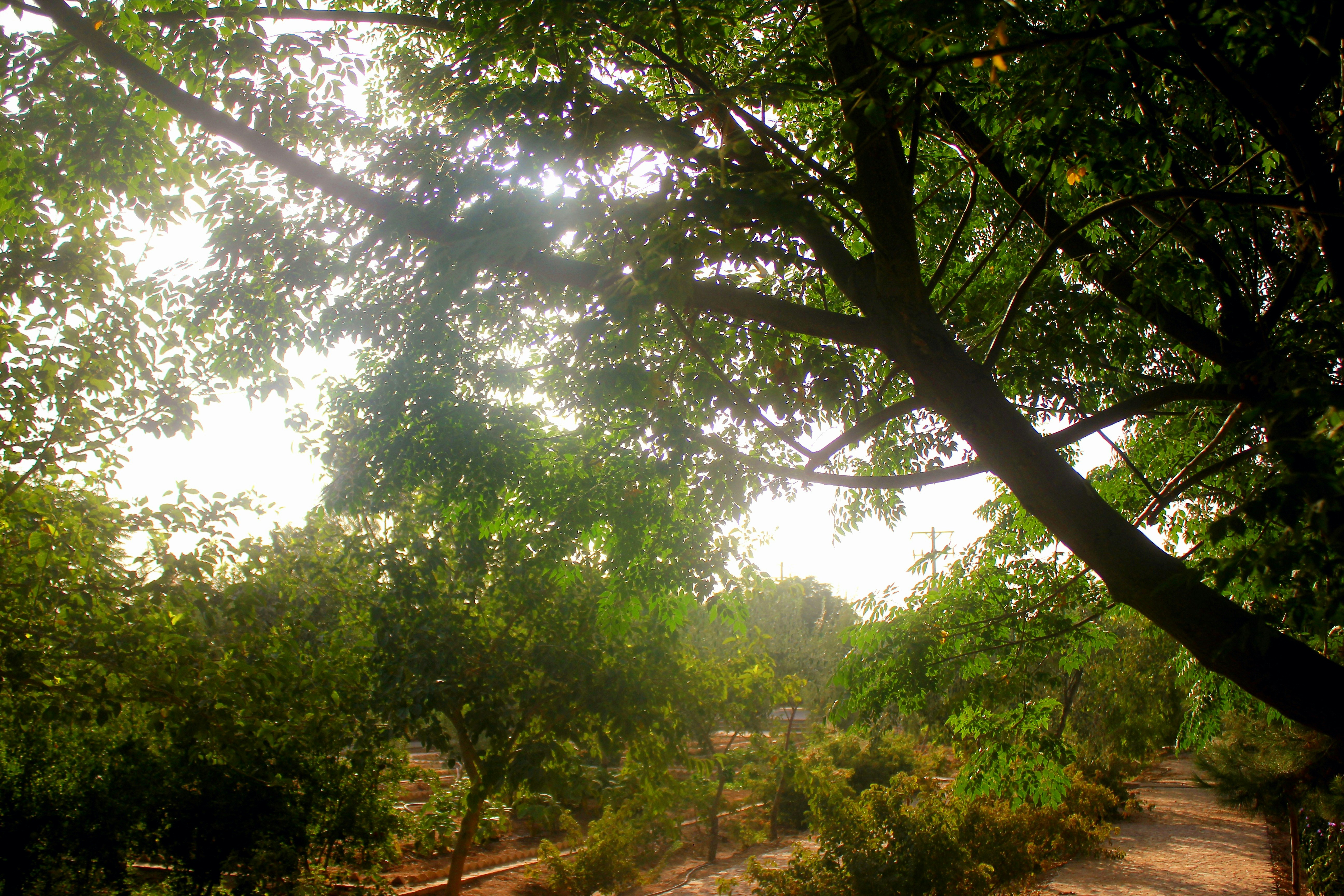 Photo by manavimoghadam