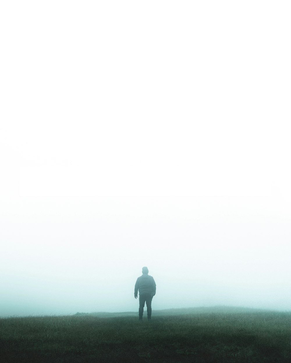 a person standing on a hill