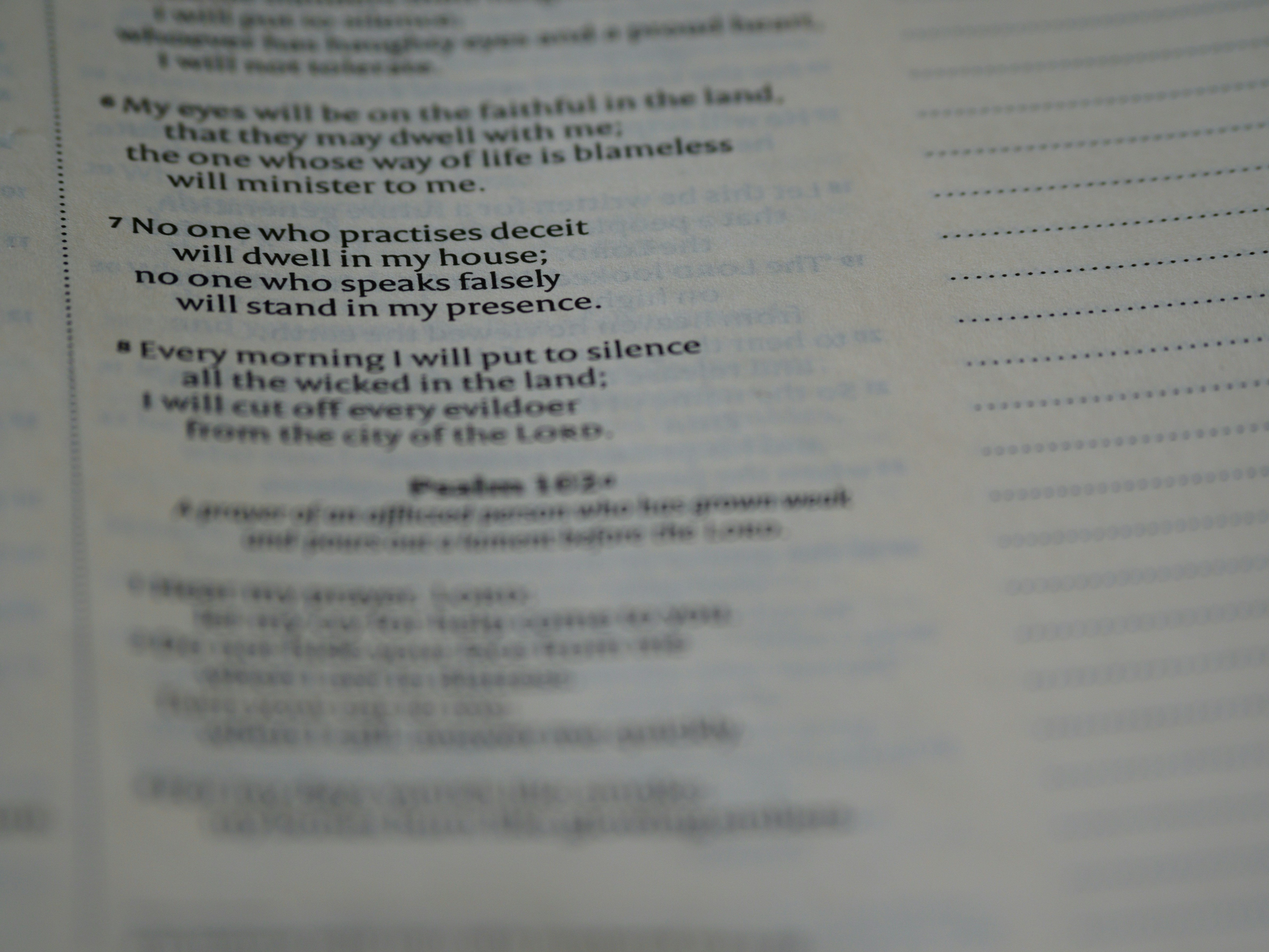 Photo by brett_jordan