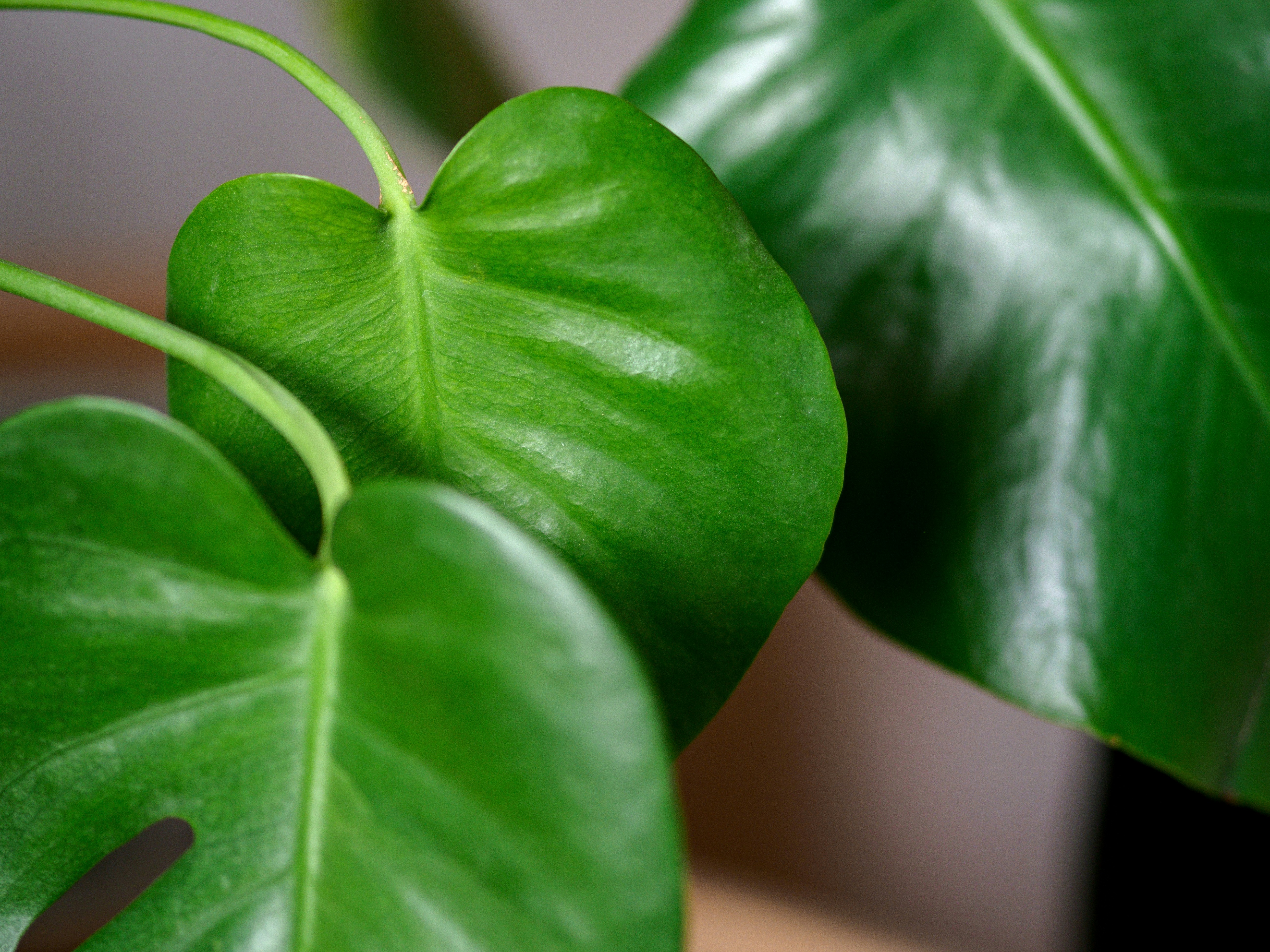 Photo by brett_jordan