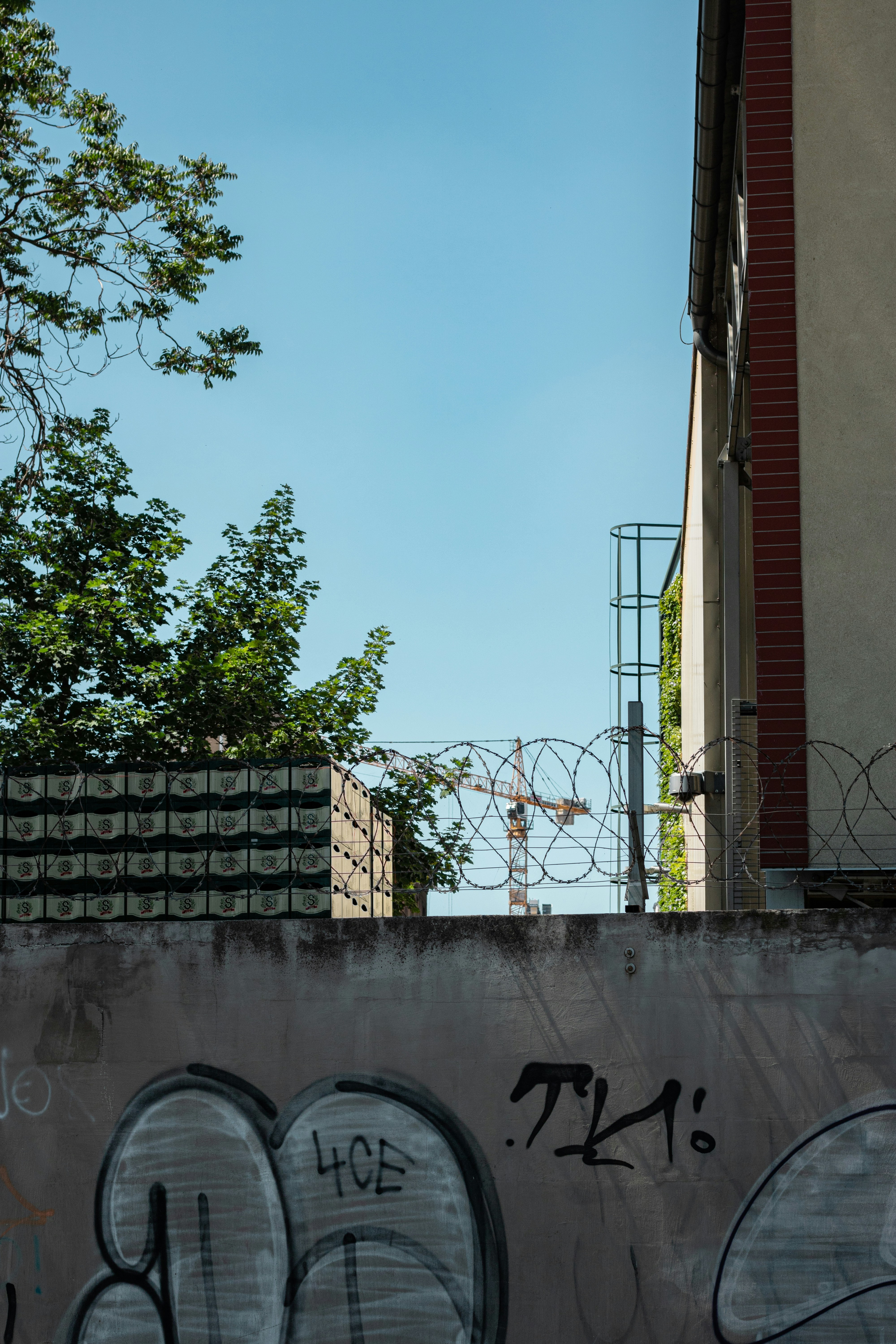 Photo by mikolasvoborsky