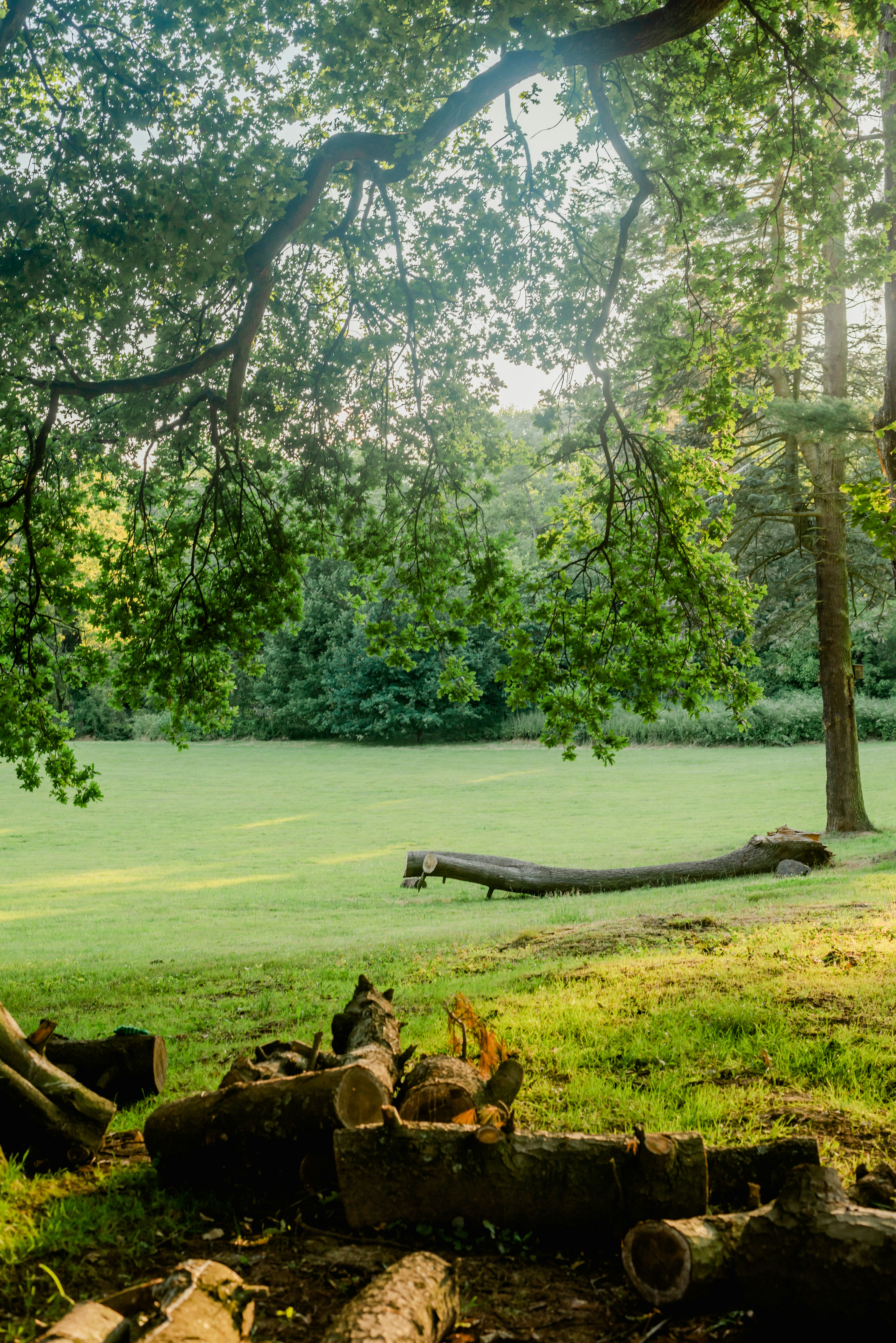 Photo by eugenivy_now