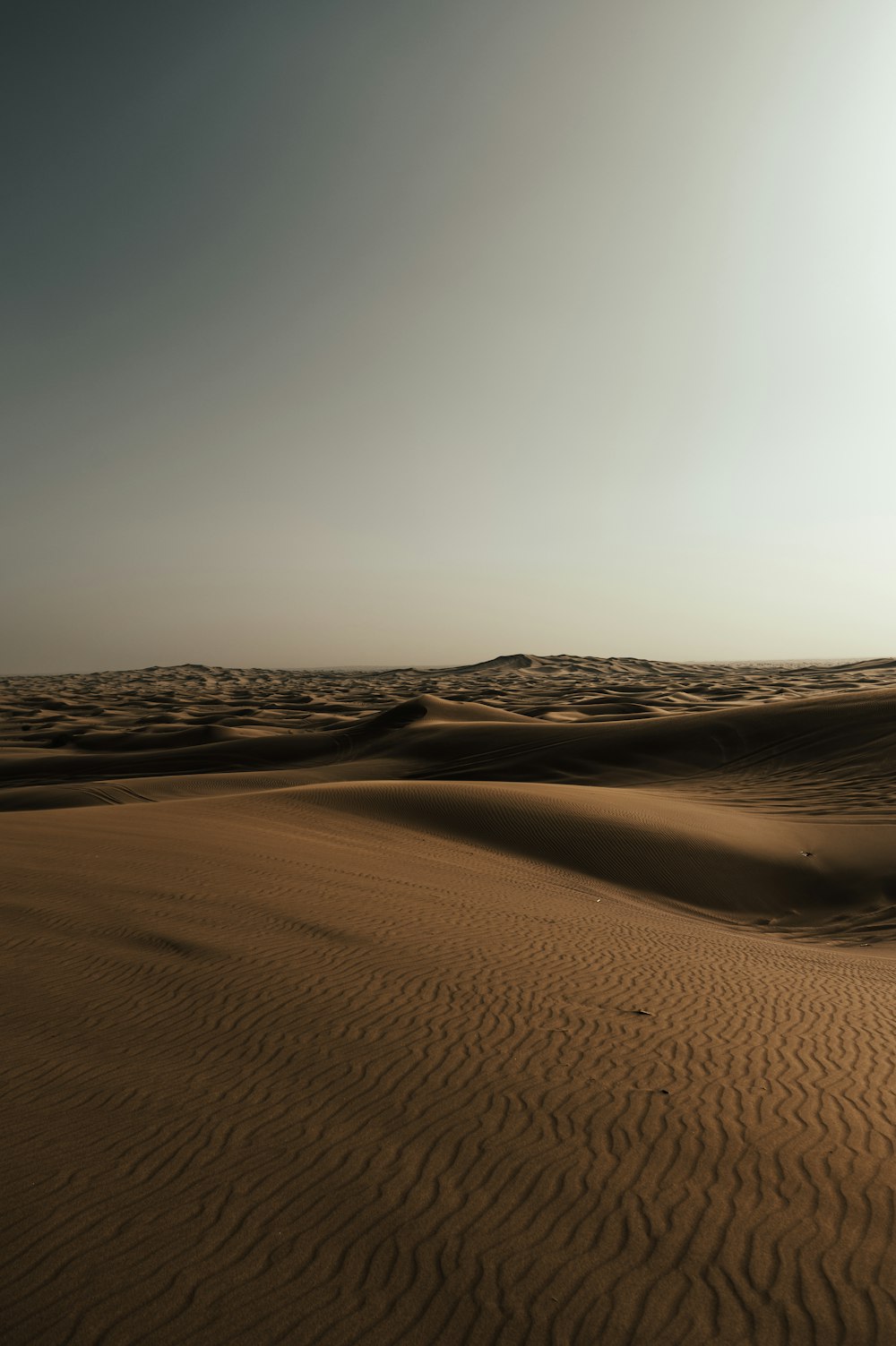 Un paysage désertique sablonneux