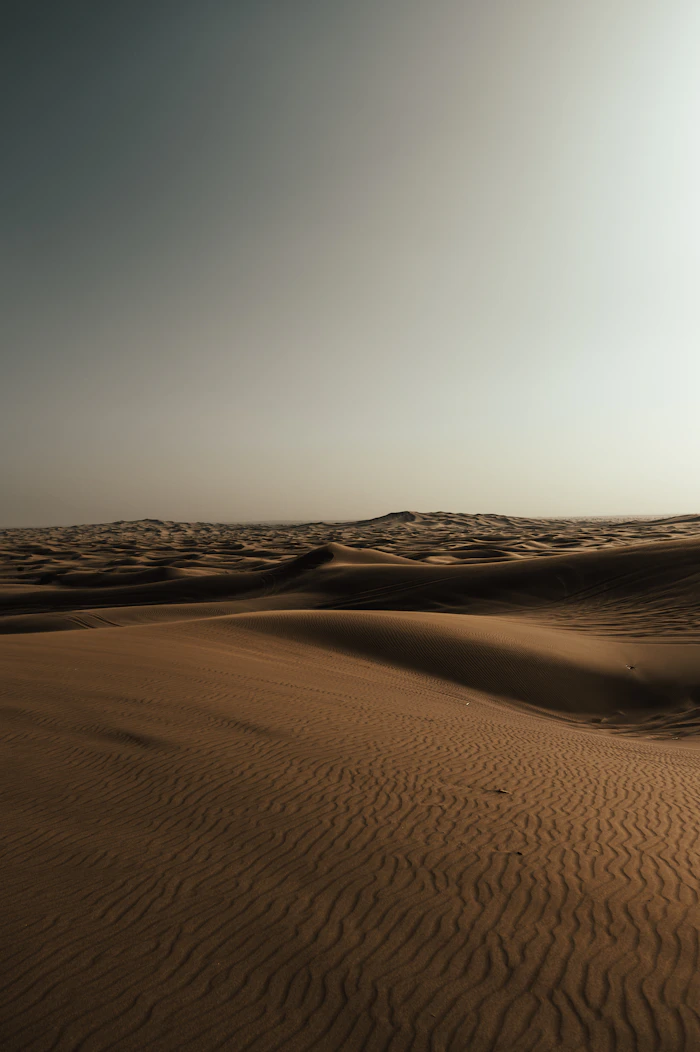 Desert safari dunes, Dubai