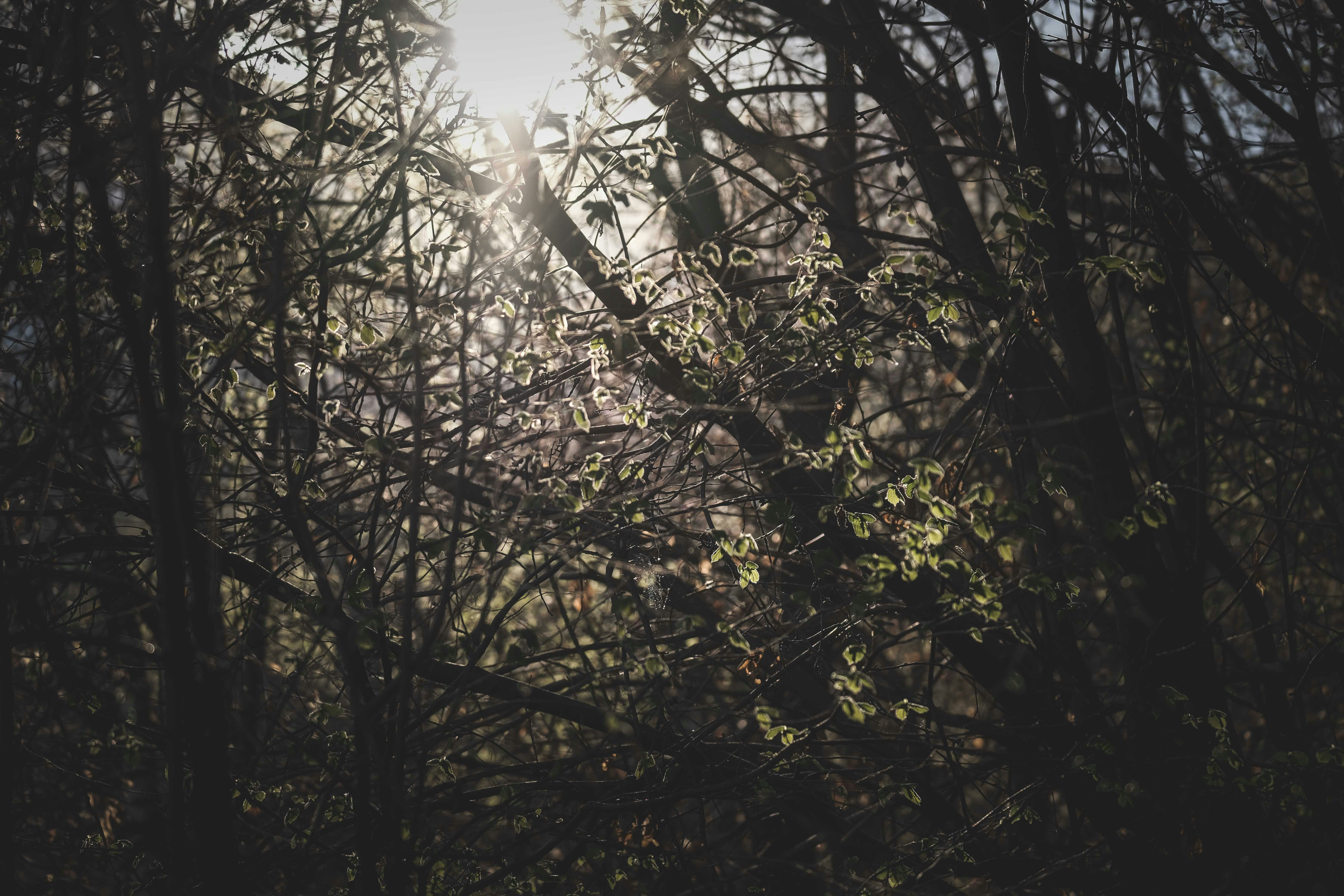 Photo by francesco_ungaro