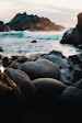 dog friendly travel monterey ca