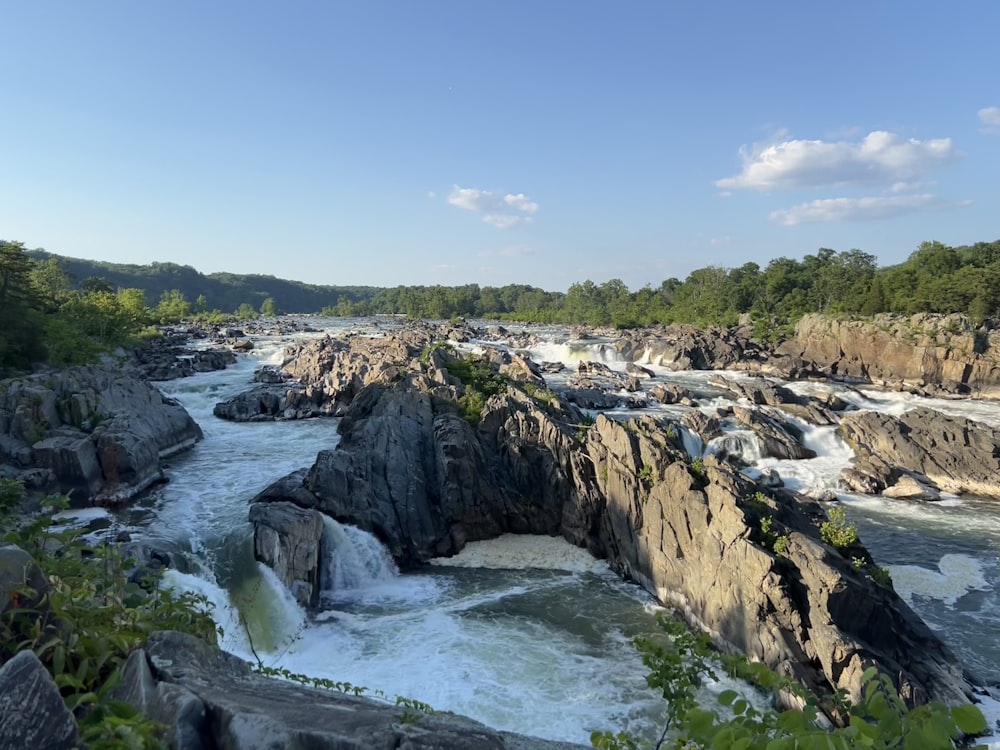 a river with rocks and trees with Great Falls Park in the background