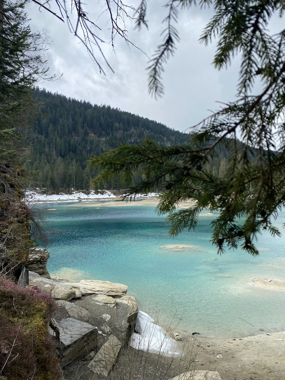 a beach with trees and rocks