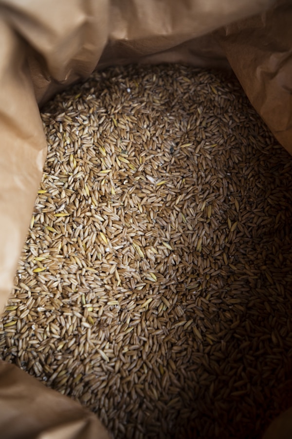 A close up of a bag of seeds