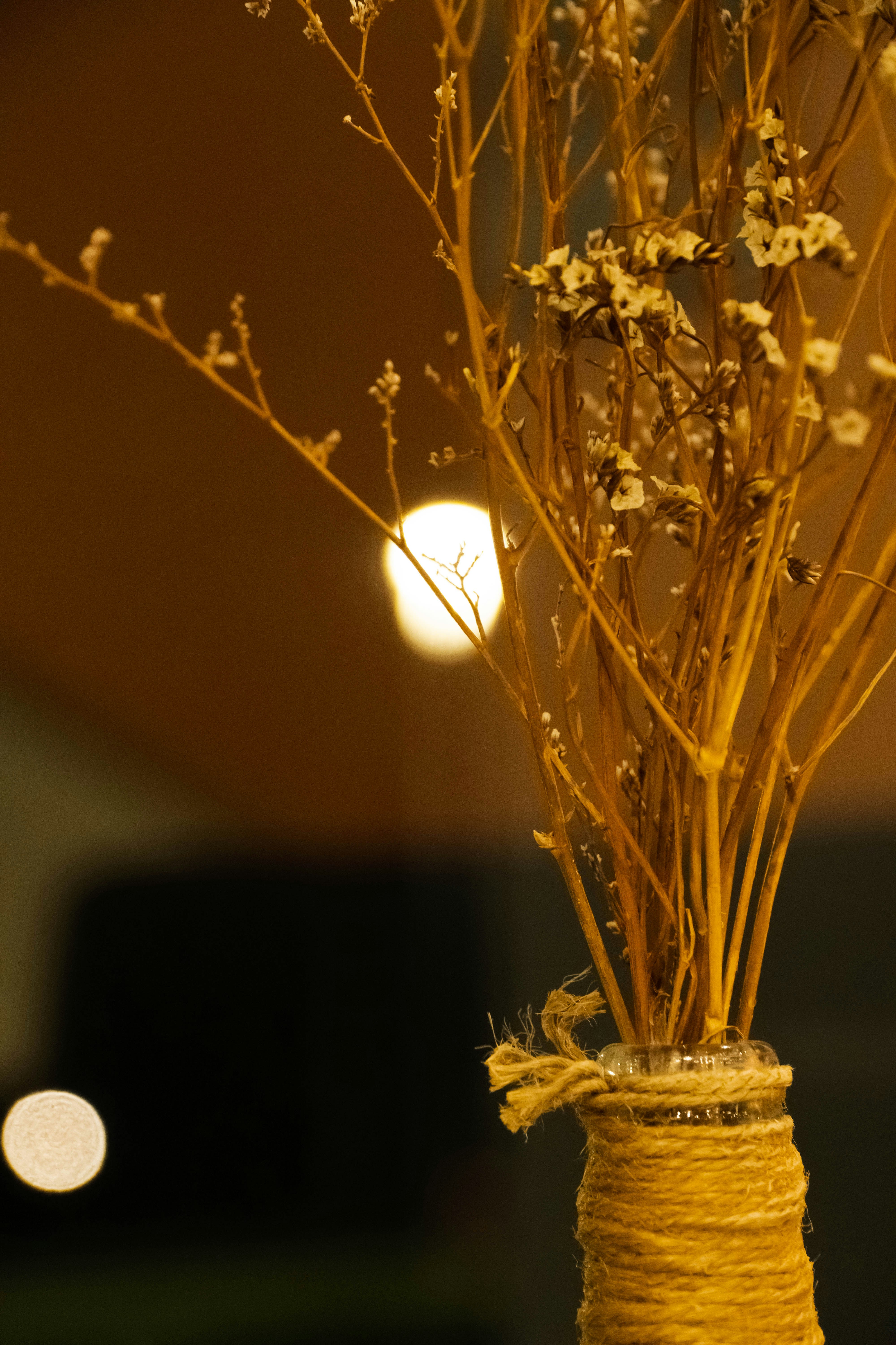 Photo by tex_forteetoo