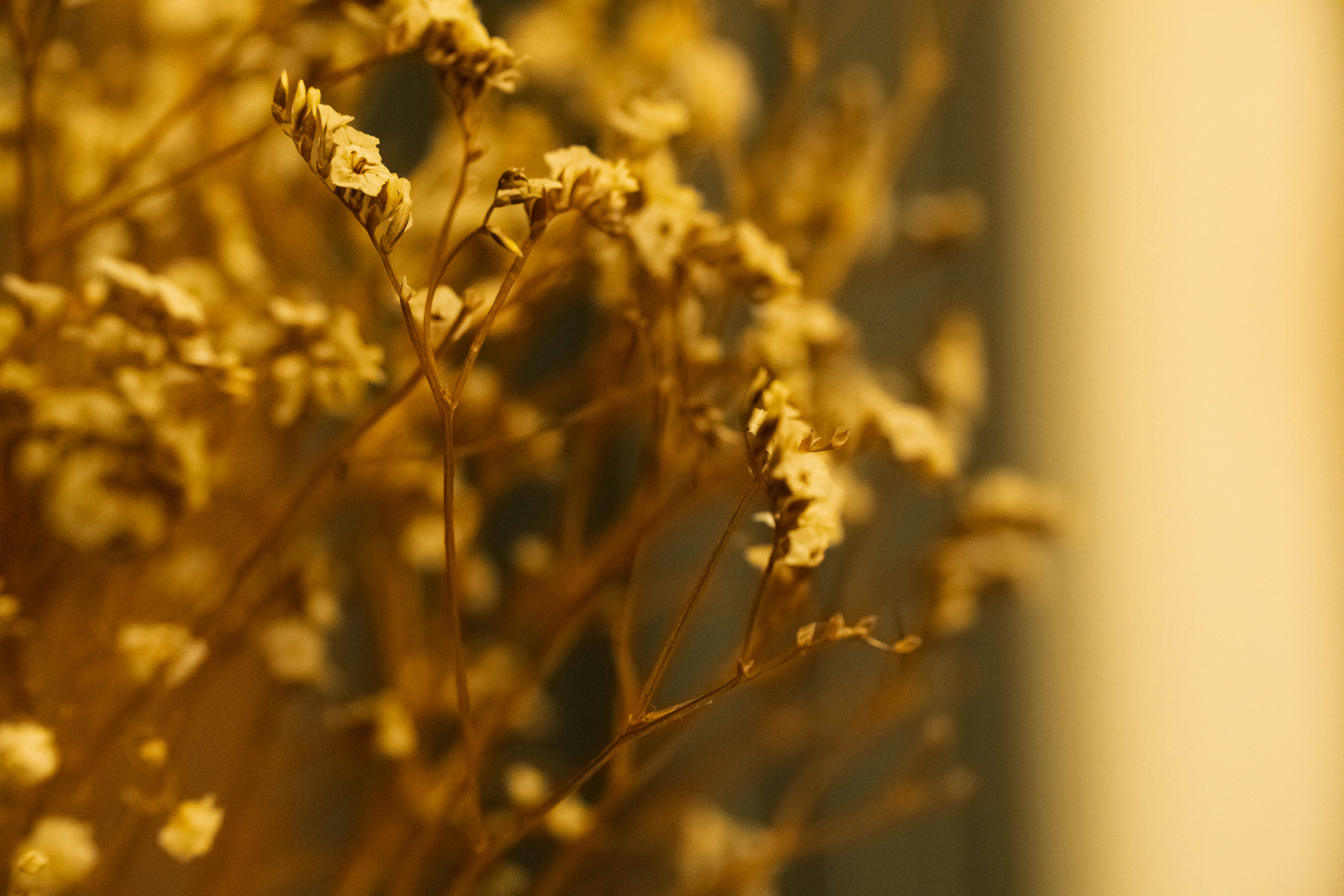 Photo by tex_forteetoo