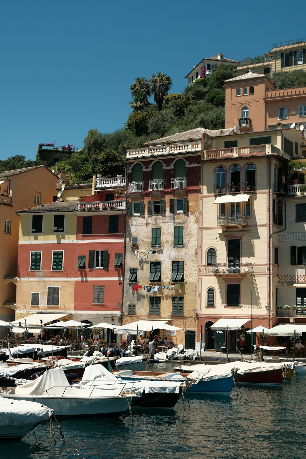 a group of boats in a harbor