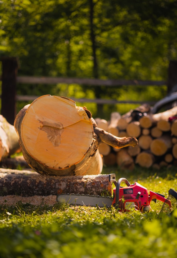 Unlocking the Potential of Your Gas Chainsaw: The Best Chainsaw Mill Attachments