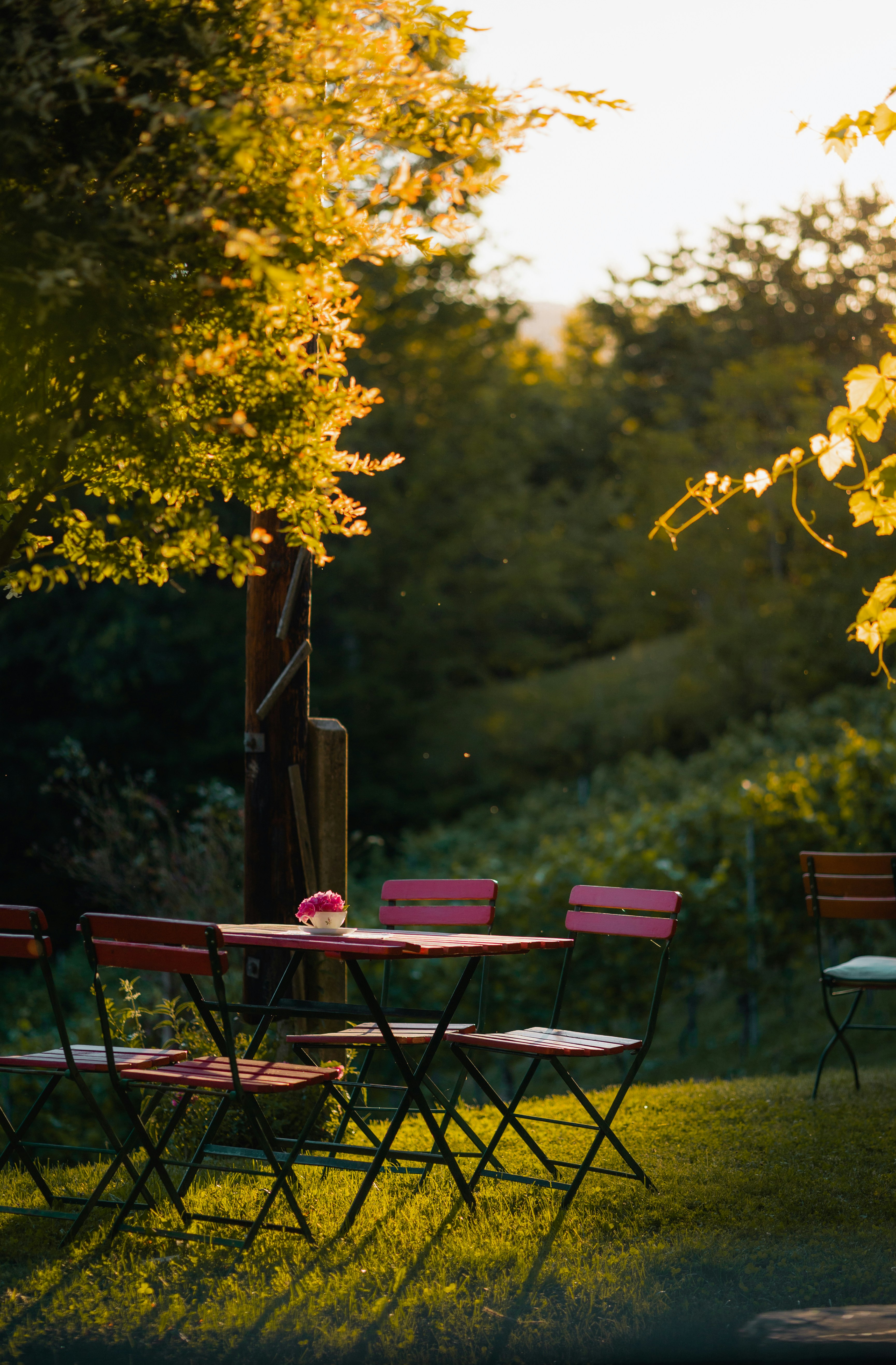 Photo by alex_gruber