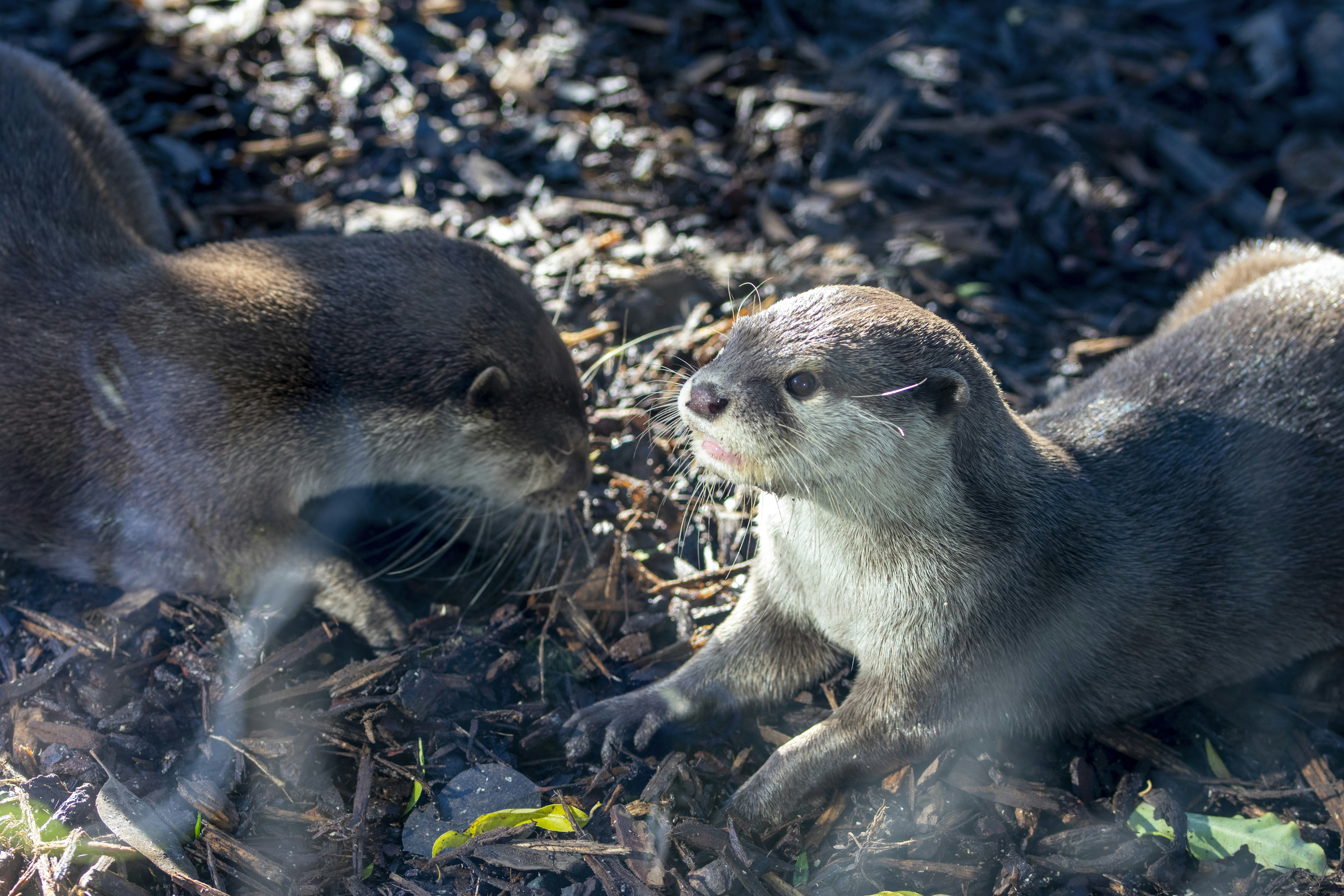 Photo by ellephant_photography