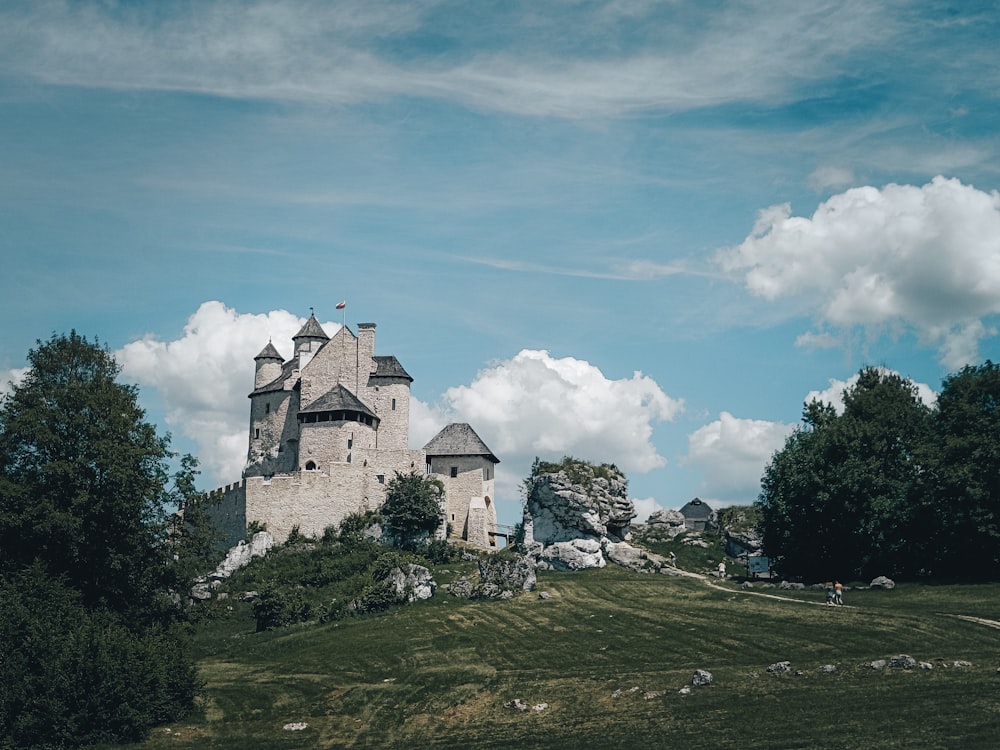 a castle on a hill