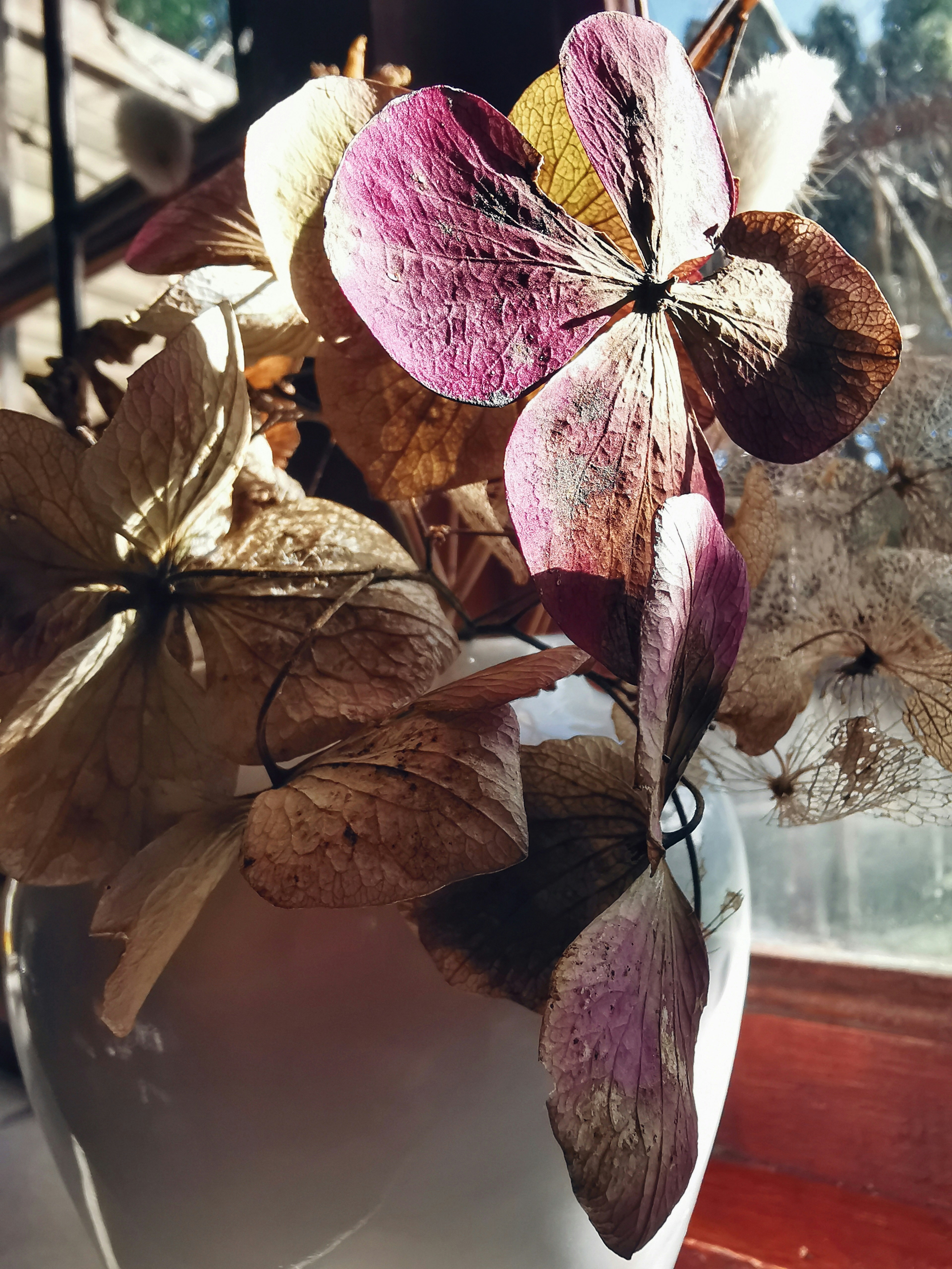 un primo piano di un fiore
