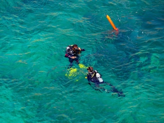 a couple people in the water