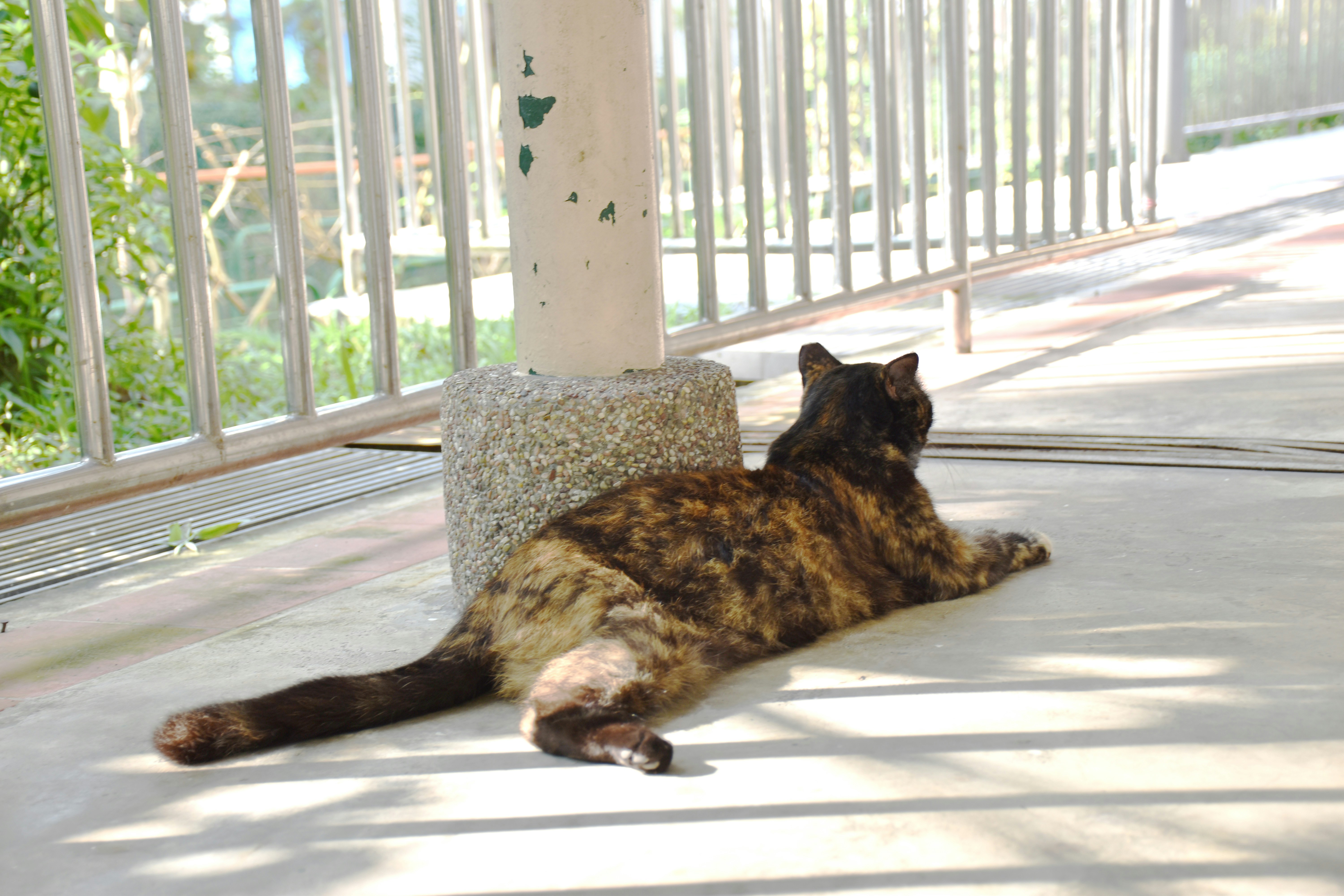 Photo by noelleinmarket