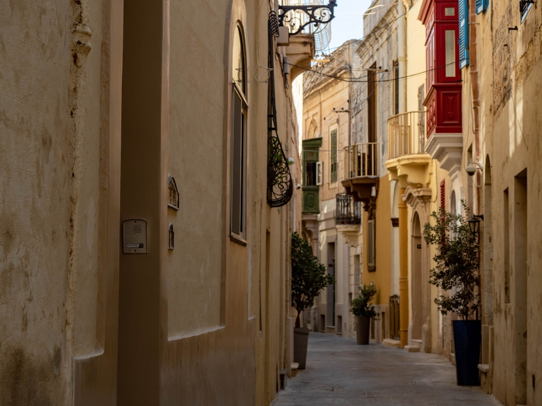 a narrow alley between two buildings,