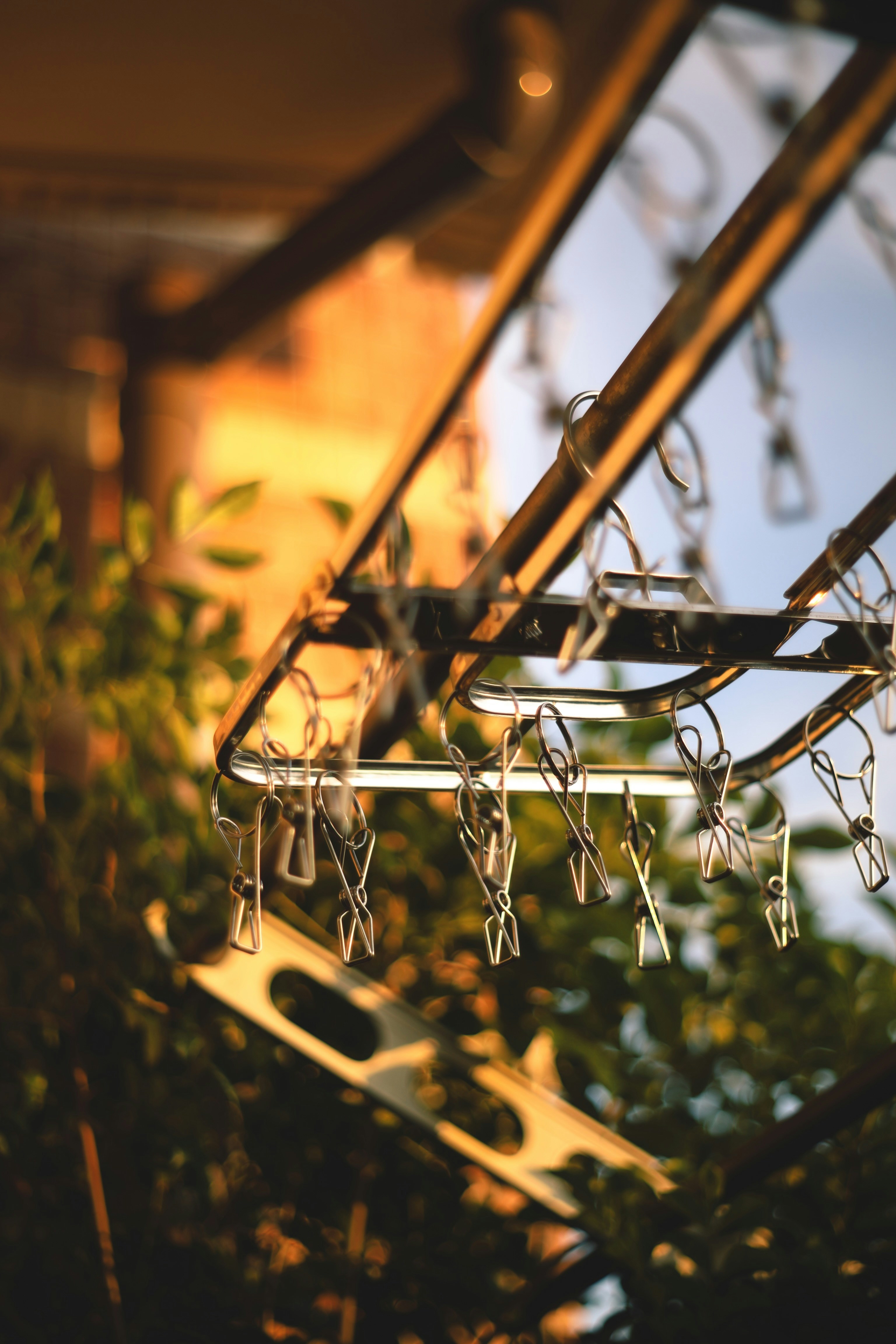 a spider web with a spider from it