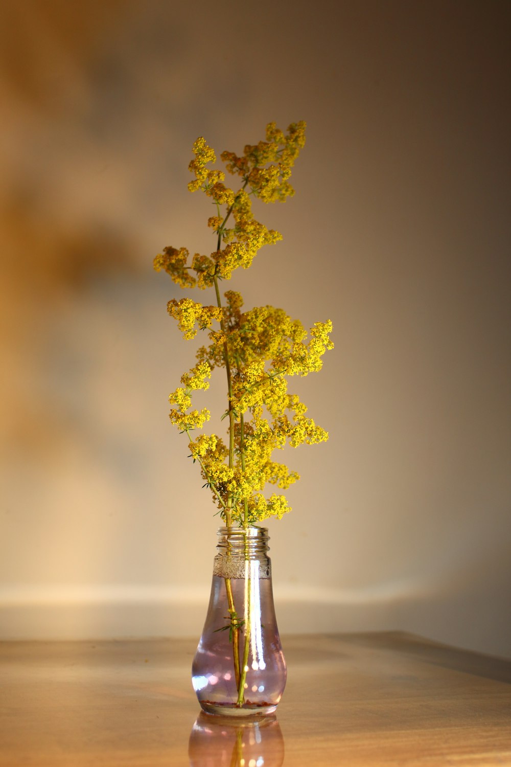 a vase with yellow flowers