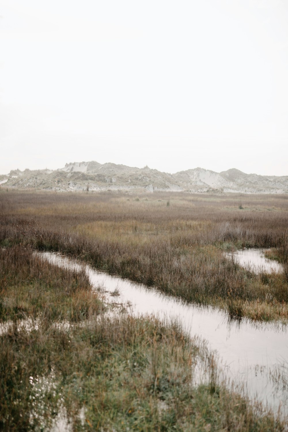 a marshy area with a mountain in the background