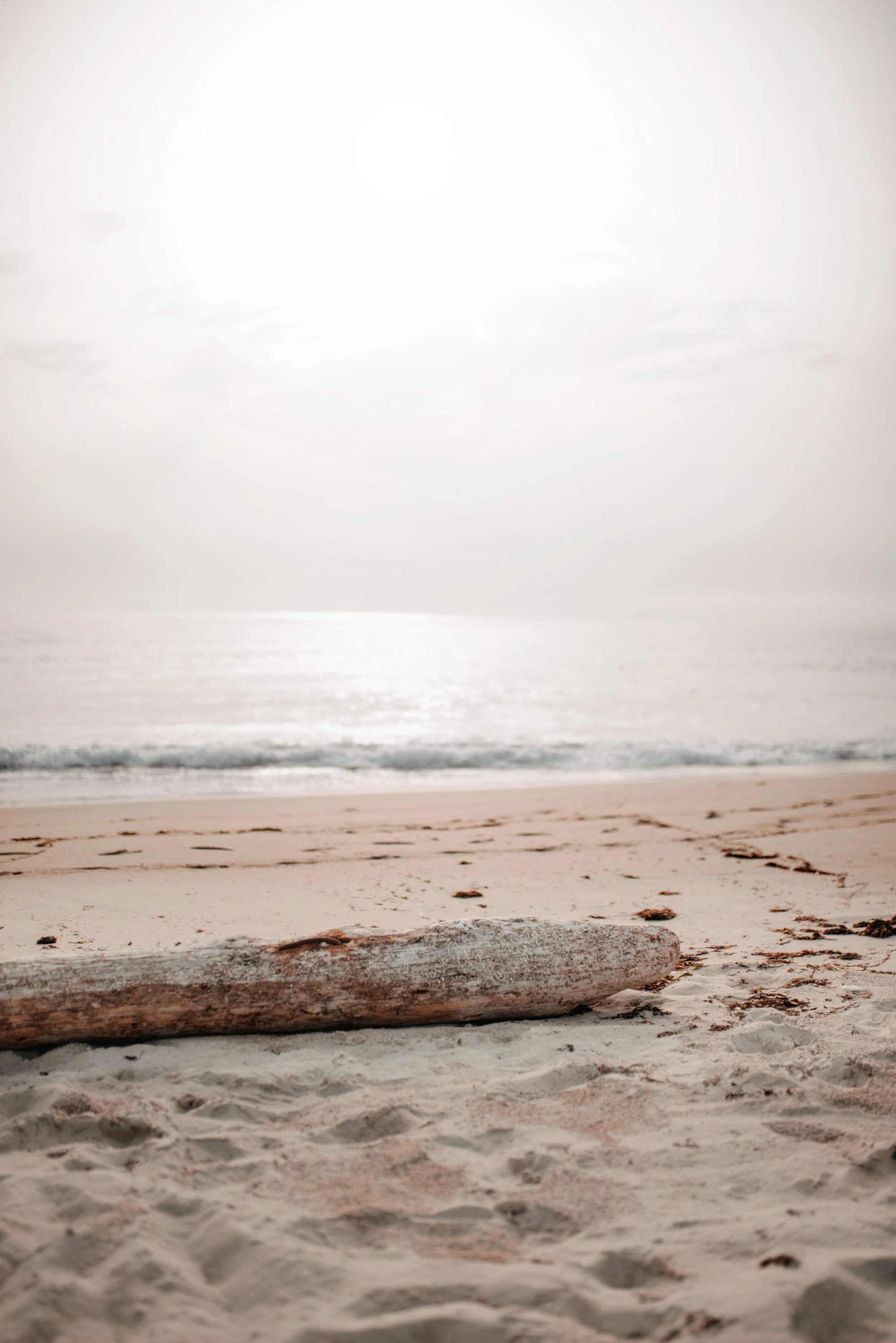 Misty coastline at dawn