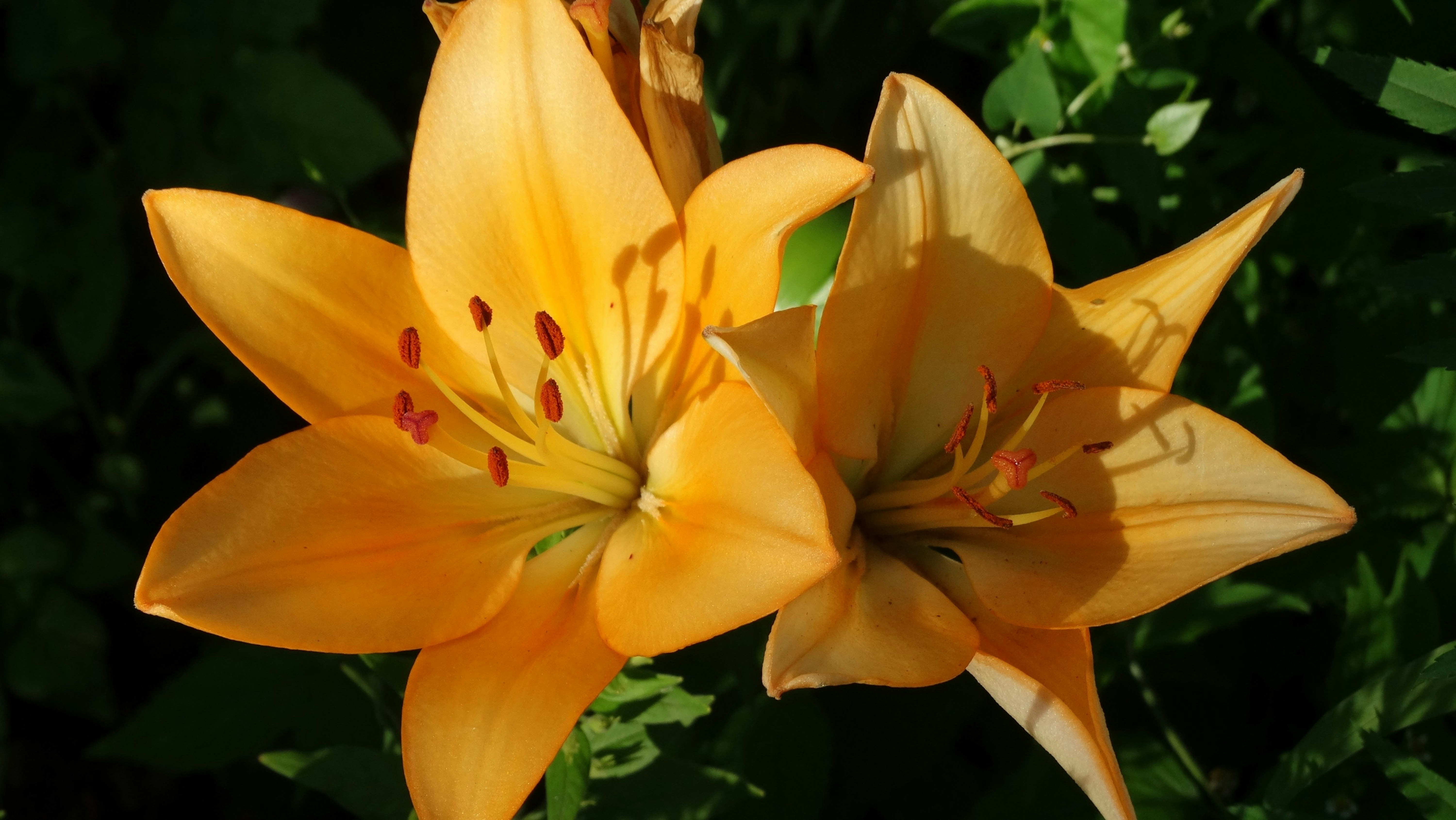 Photo by pics_studio