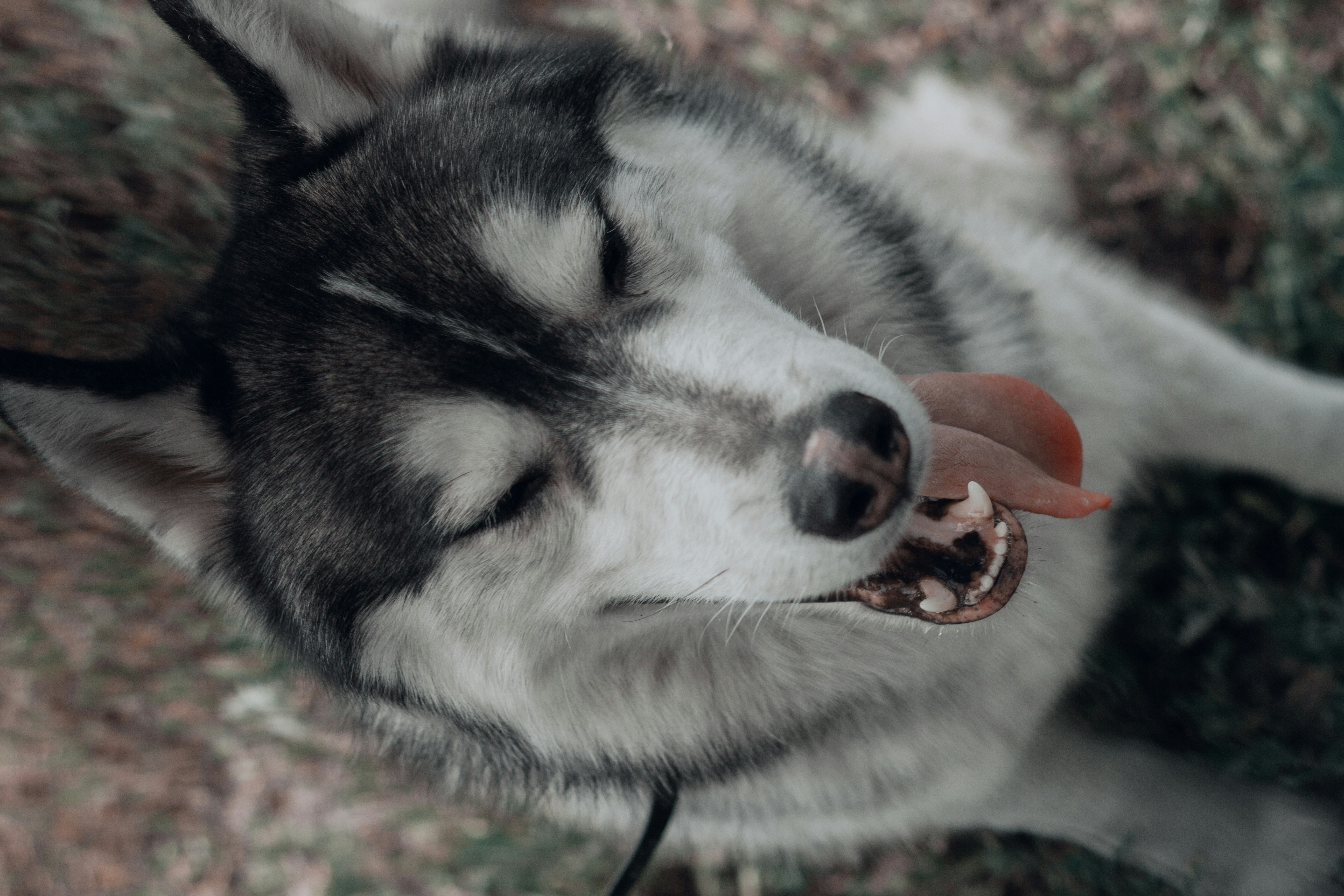 Photo by mylitrpony
